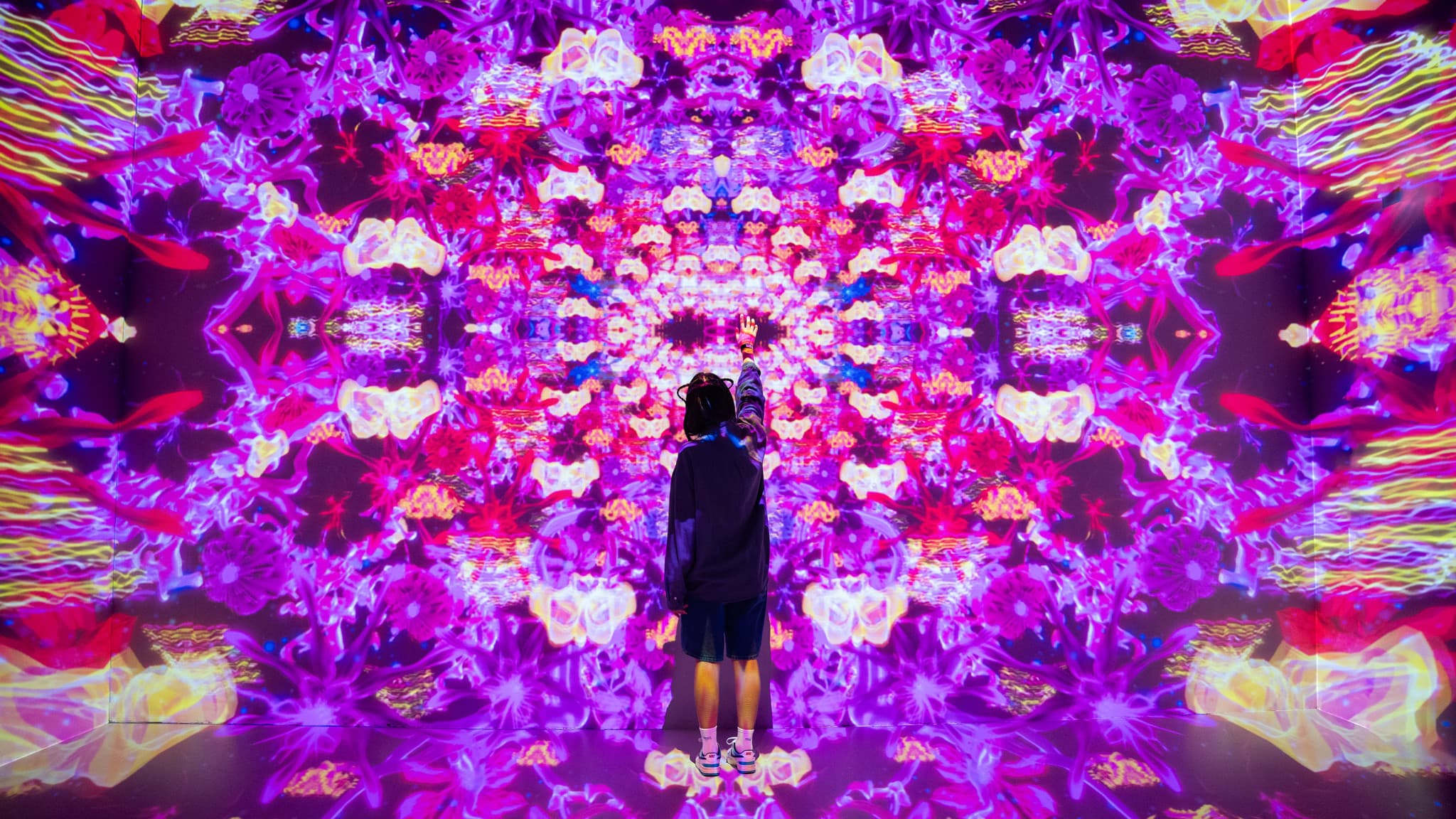 House of Hype Ticket - image 9