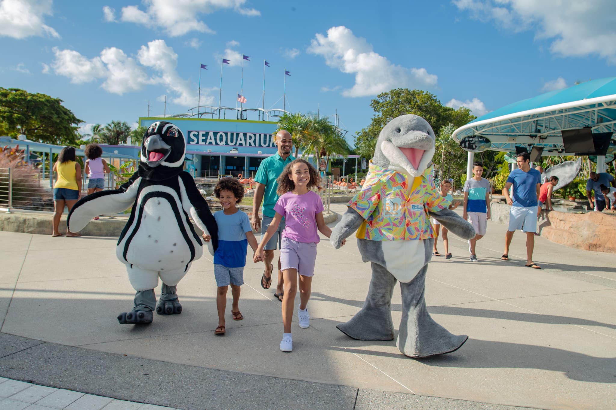 Go City Miami Explorer Pass: Save up to 50% on Attractions - image 10