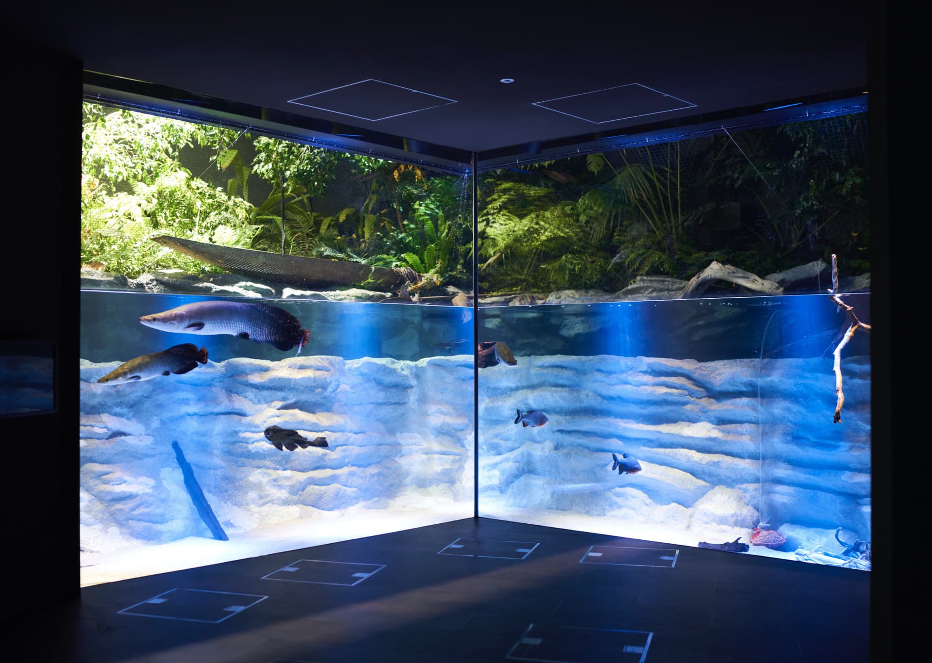 Kawasaki Aquarium Ticket - main image