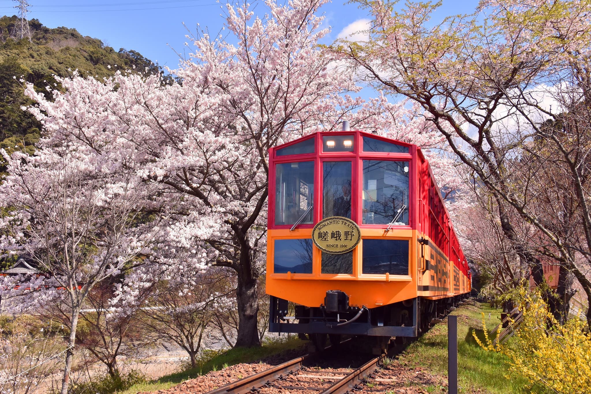 Sagano Romantic Train - main image