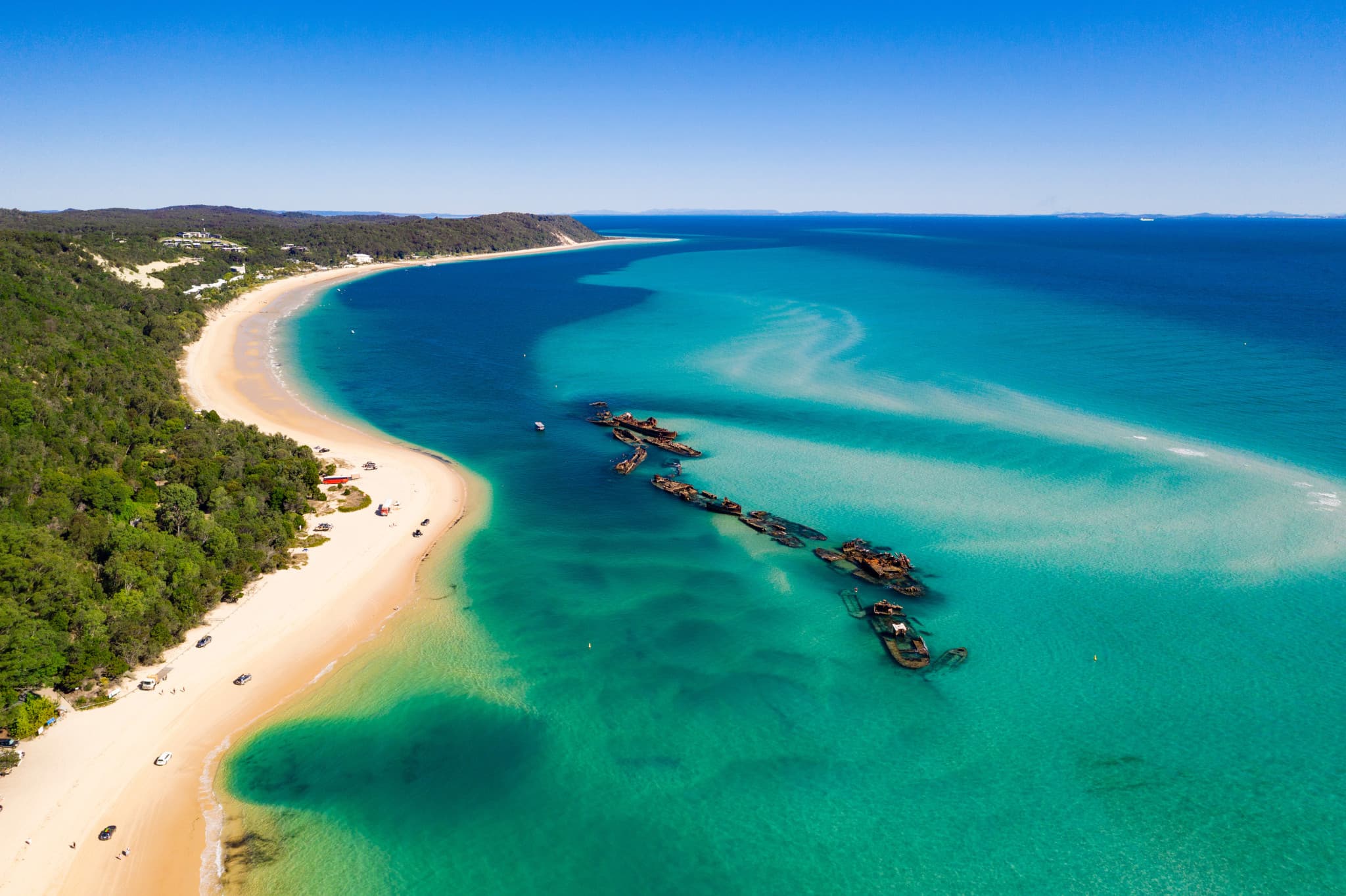 Tangalooma Wrecks & Dolphin Cruise Optional Round transfer from Brisbane City and Gold Coast - image 12