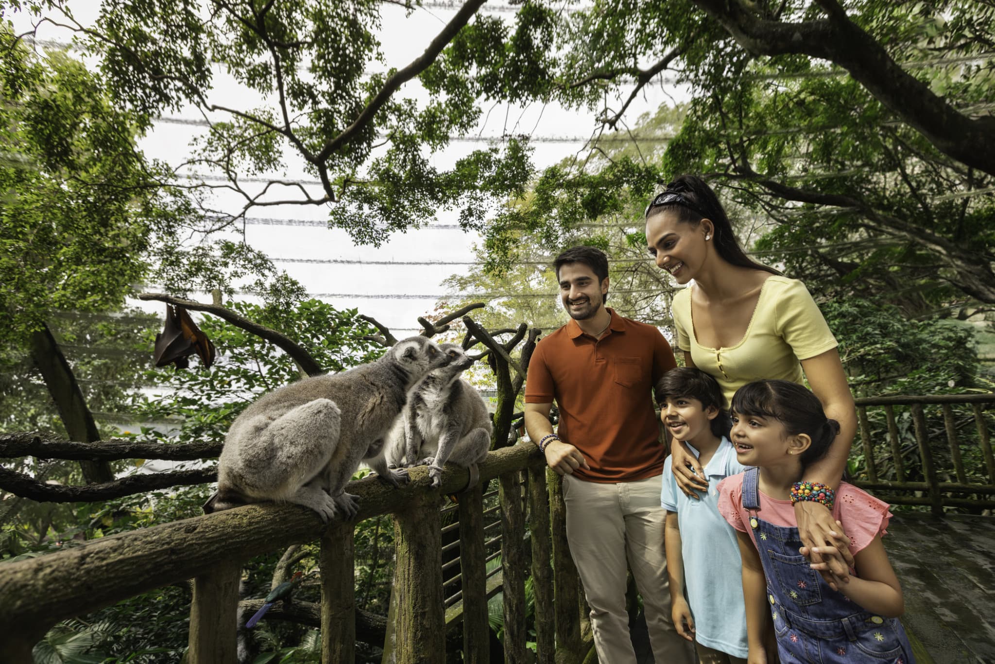 COMBO: Singapore Zoo + River Wonders Ticket - image 5