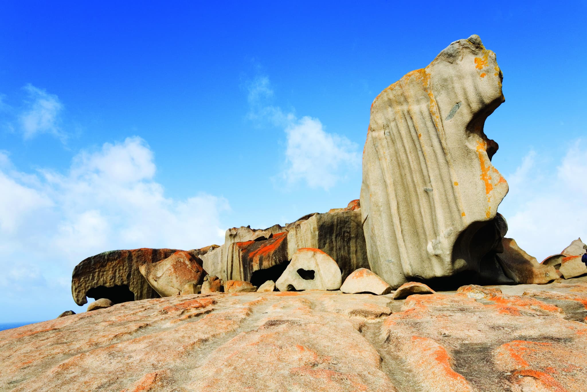 Kangaroo Island Tour from Adelaide - image 7