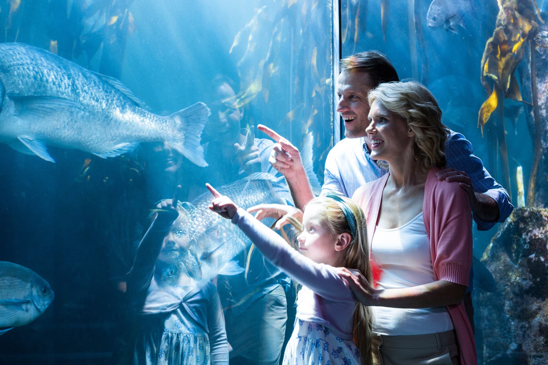 Go City Chicago All-Inclusive Pass: Ahorre hasta un 50% en atracciones - imagen 3