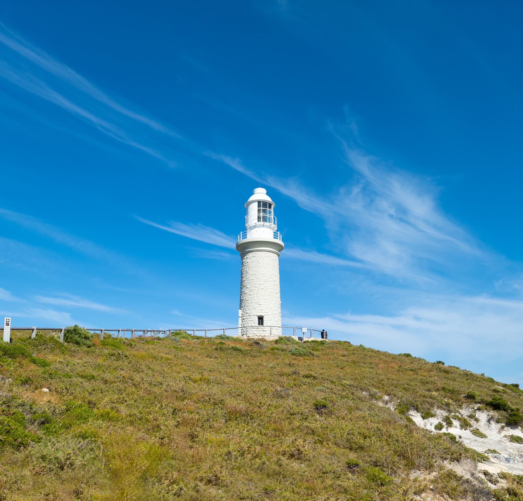 Rottnest Island Bayseeker Bus Tour with Round Trip SeaLink Ferry Transfer - image 7