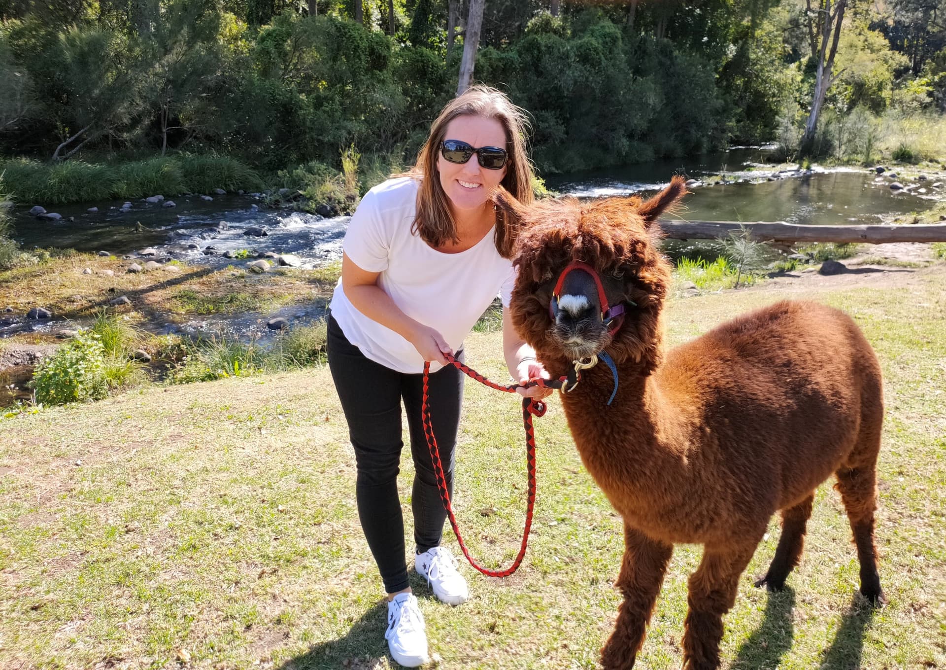 Lamington National Park Tour: O'Reilly's Rainforest Retreat and Canungra Valley Vineyard - 이미지 13