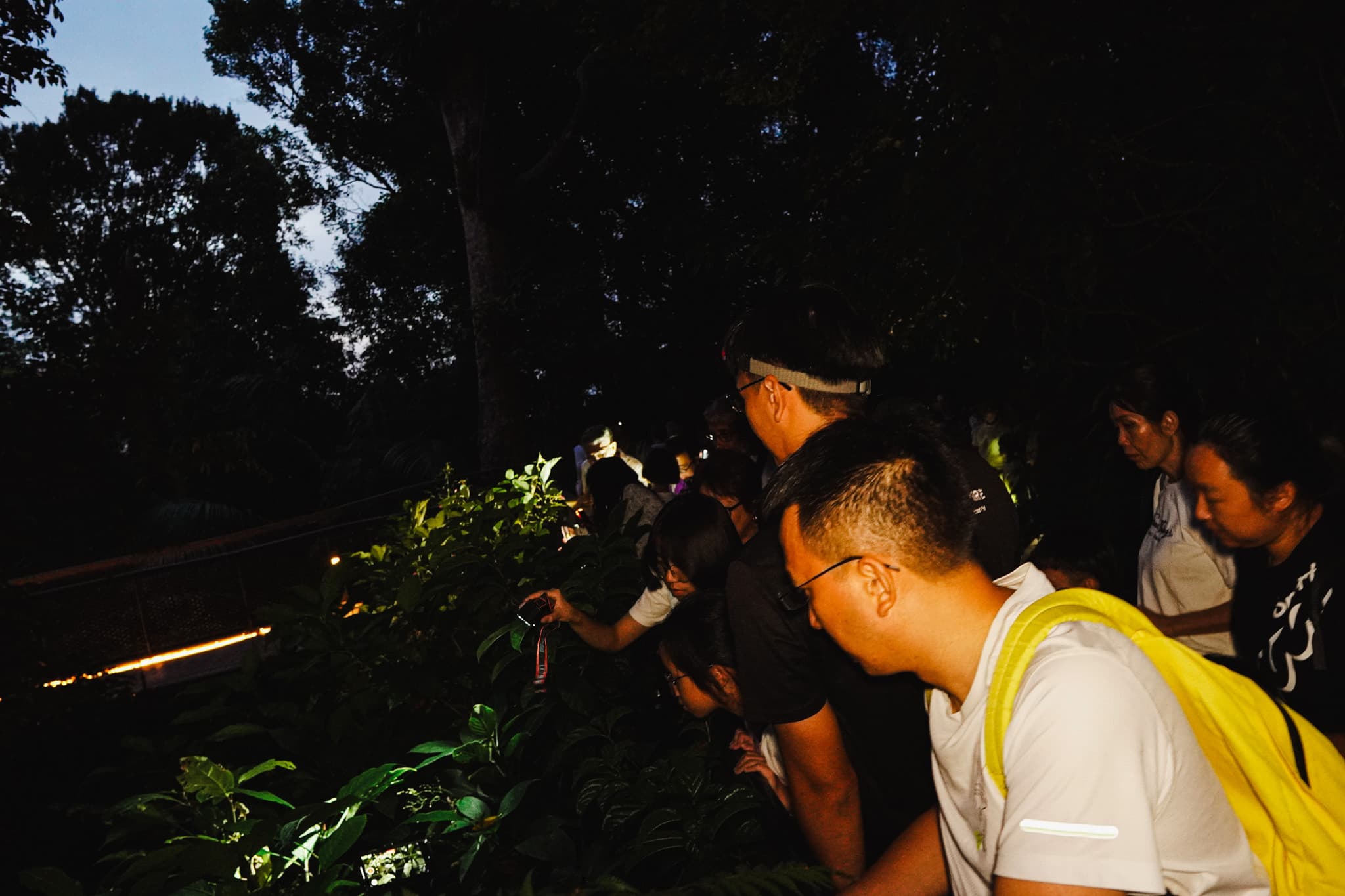The Habitat Penang Hill Ticket - image 26
