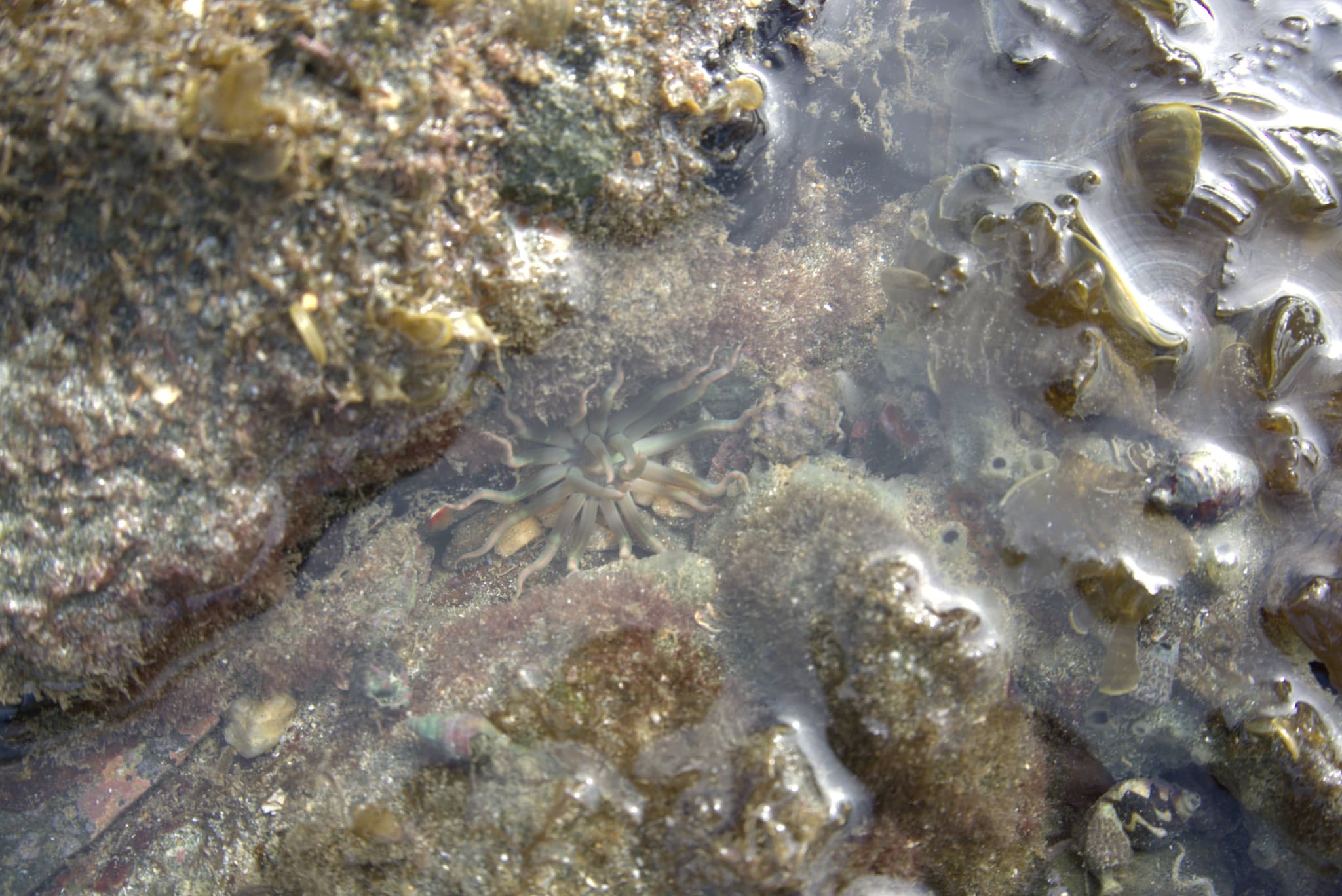 Desaru Beach and Tide Pool Walk - image 35