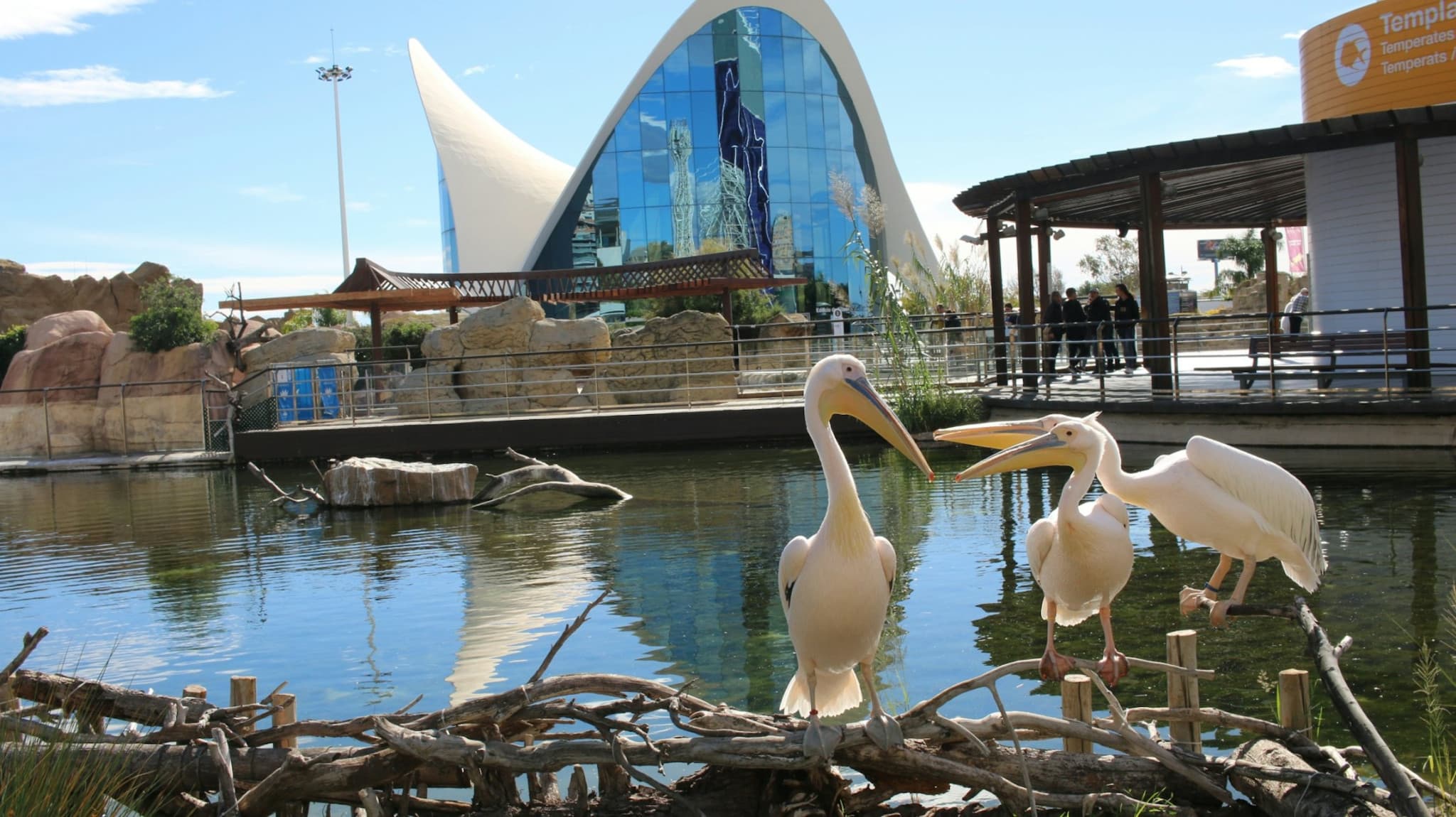Oceanogràfic de Valencia Ticket - image 6