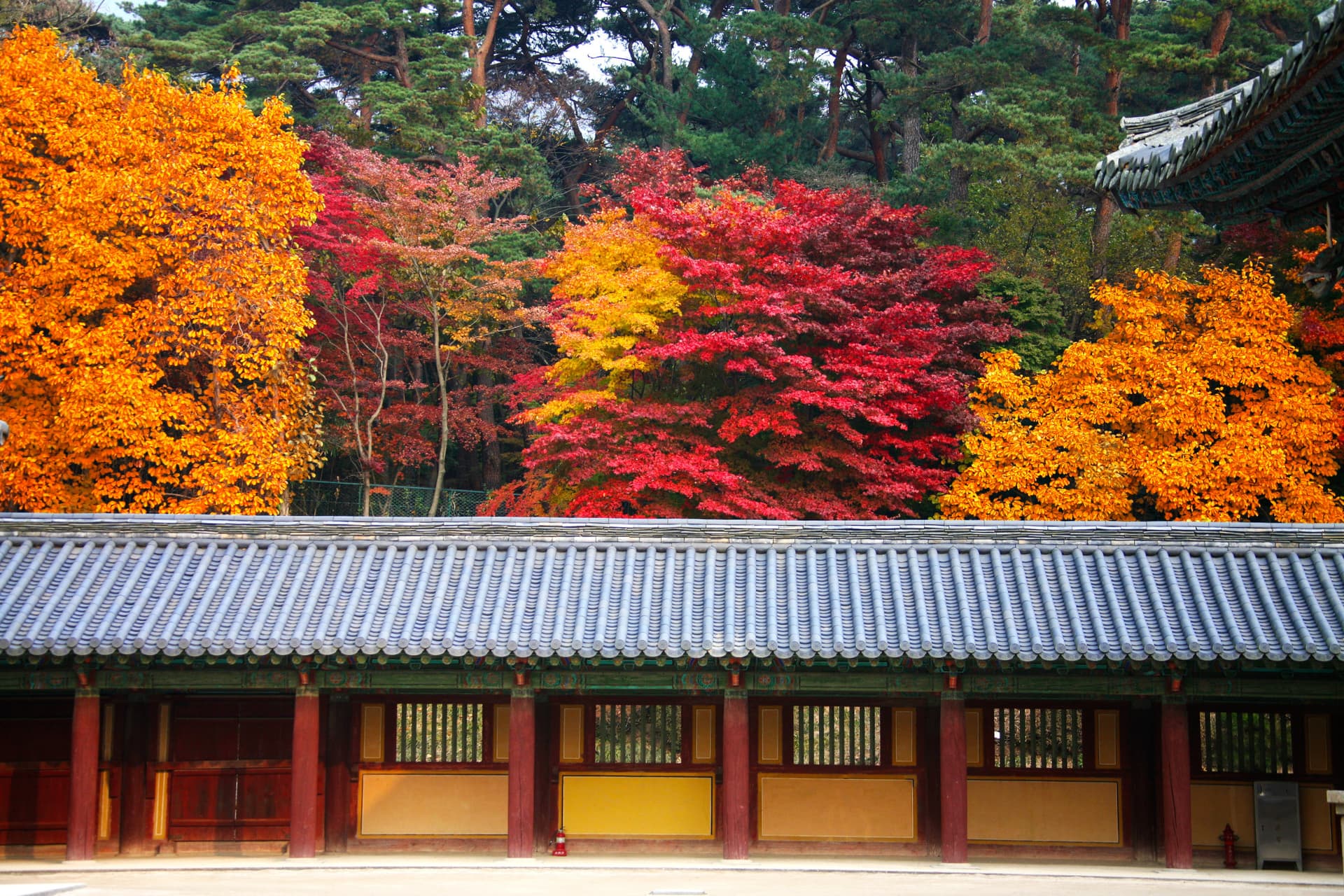Gyeongju Autumn Foliage One Day Tour from Busan - 이미지 9