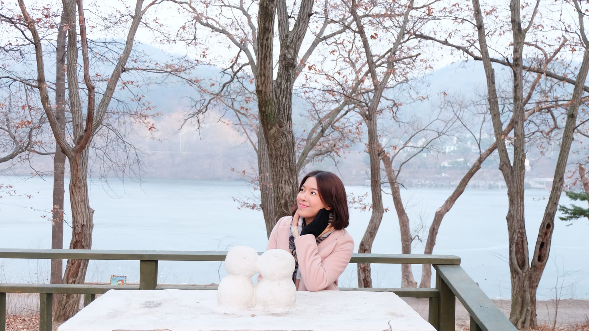 Nami Island, Petite France, Italian Village, and Garden of Morning Calm Tour from Seoul - image 8