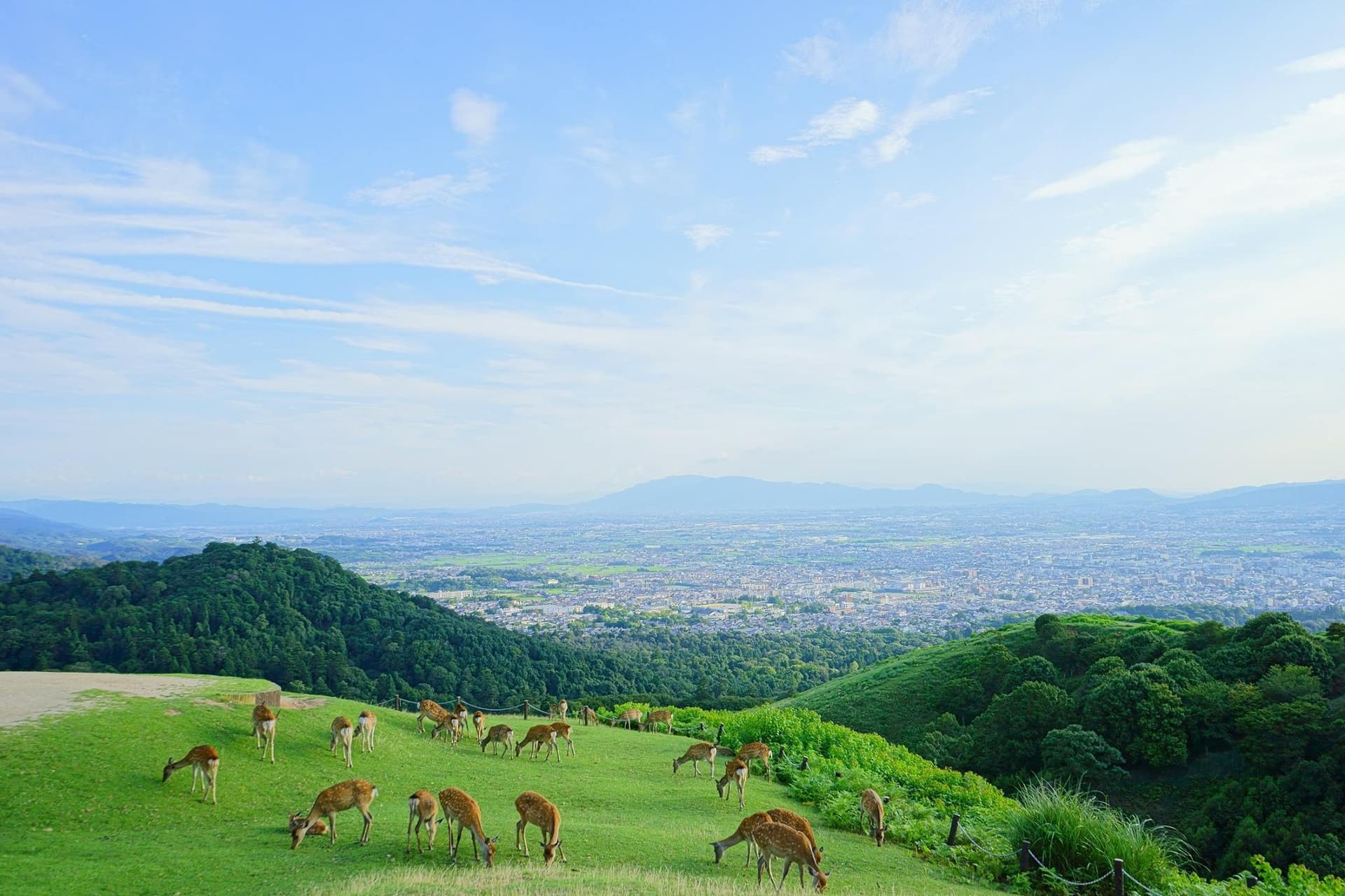 Kyoto and Nara Full-Day Tour from Kyoto - imagen 4