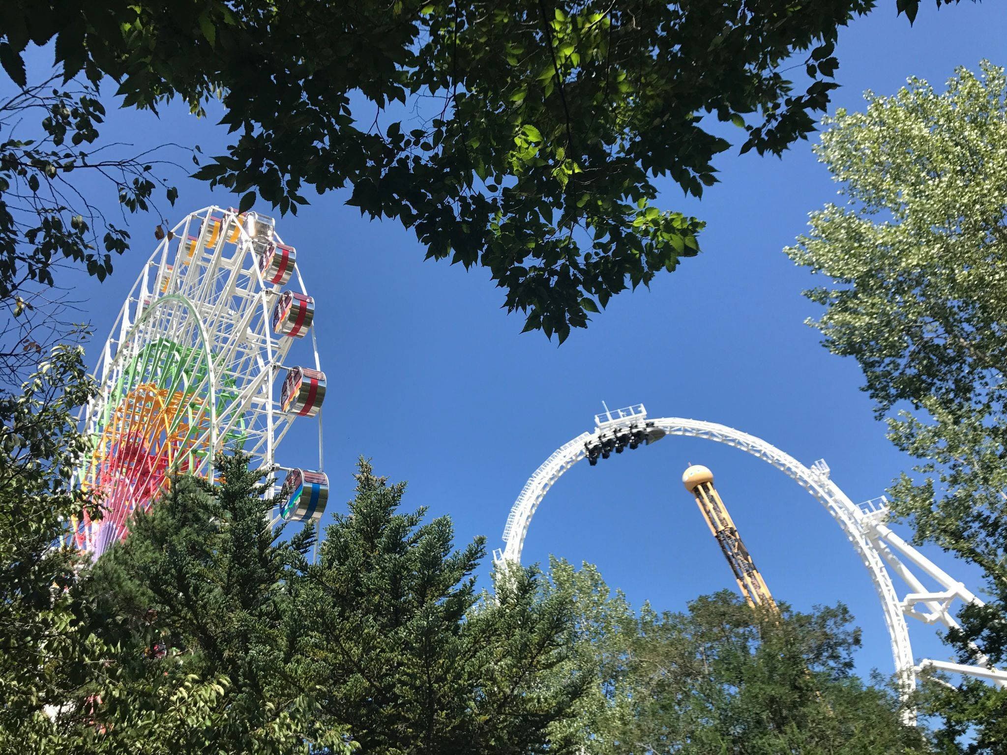 Fuji-Q Highland Pass - image 9