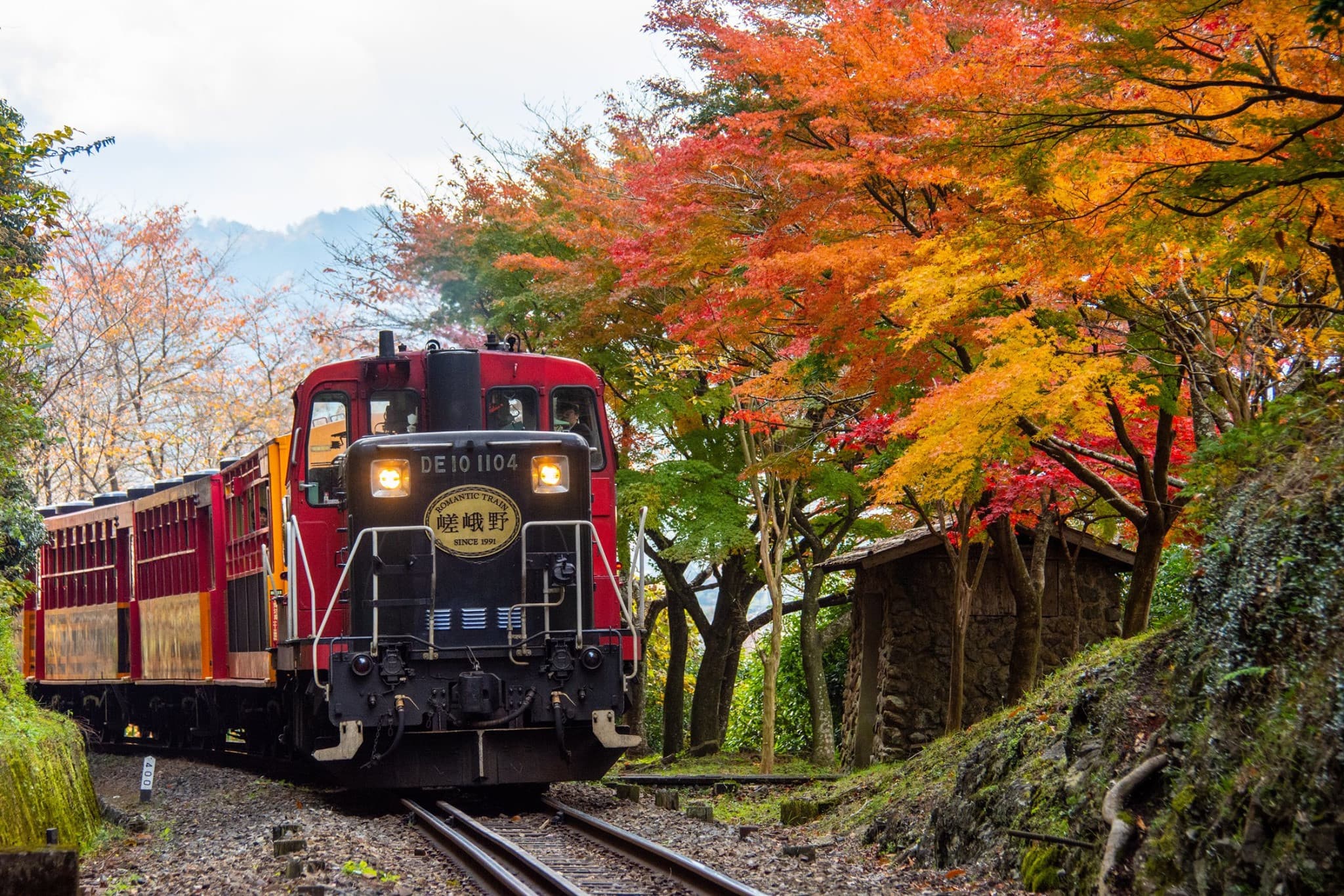 Sagano Romantic Train - image 10