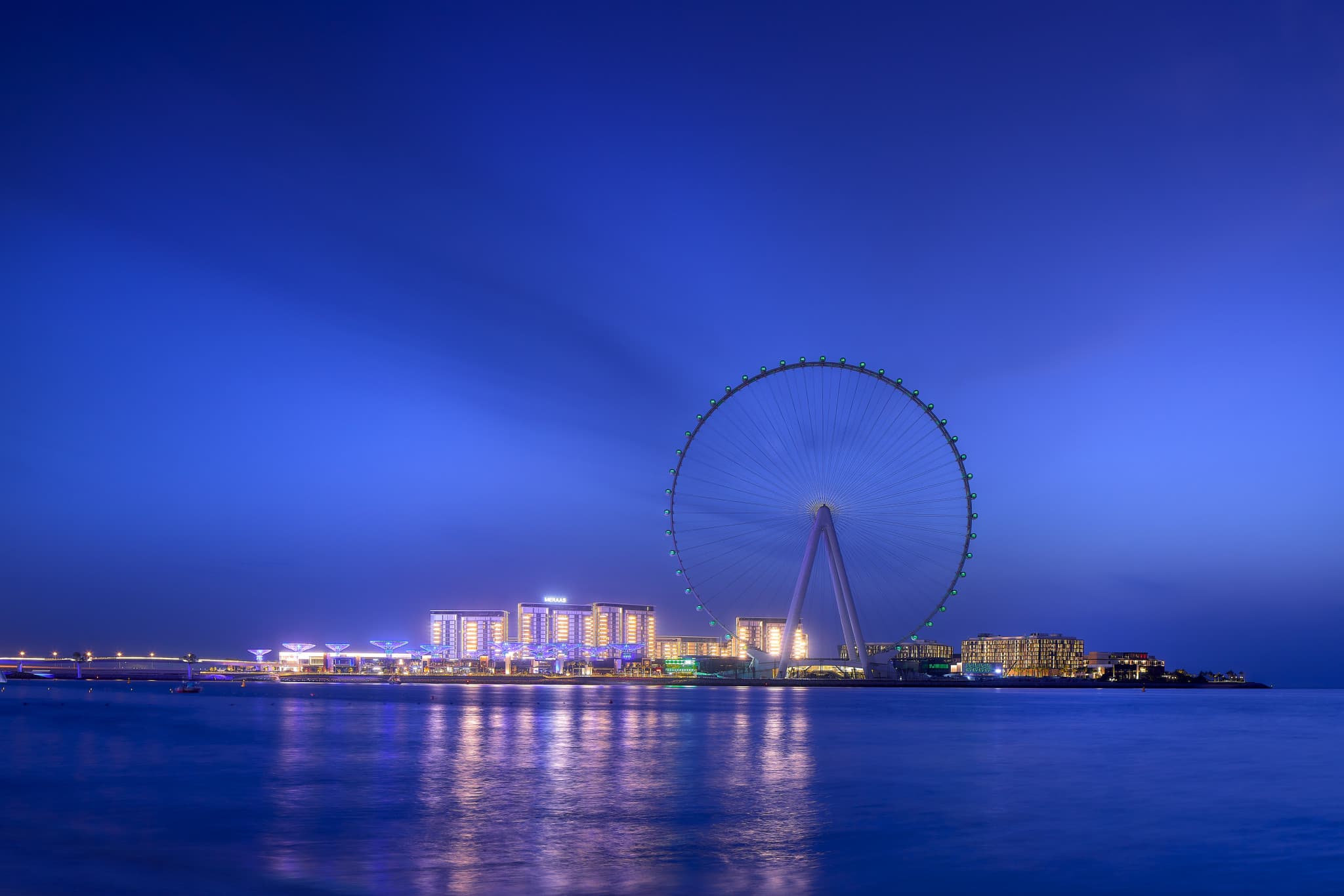 COMBO: Ain Dubai + The Green Planet Tickets - image 4
