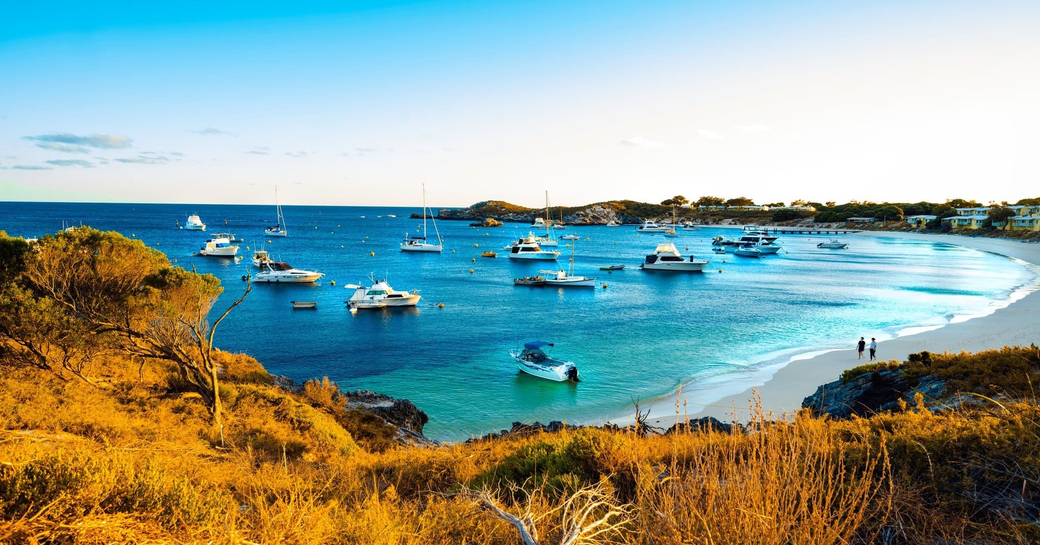 Rottnest Island Bayseeker Bus Tour with Round Trip SeaLink Ferry Transfer - image 6
