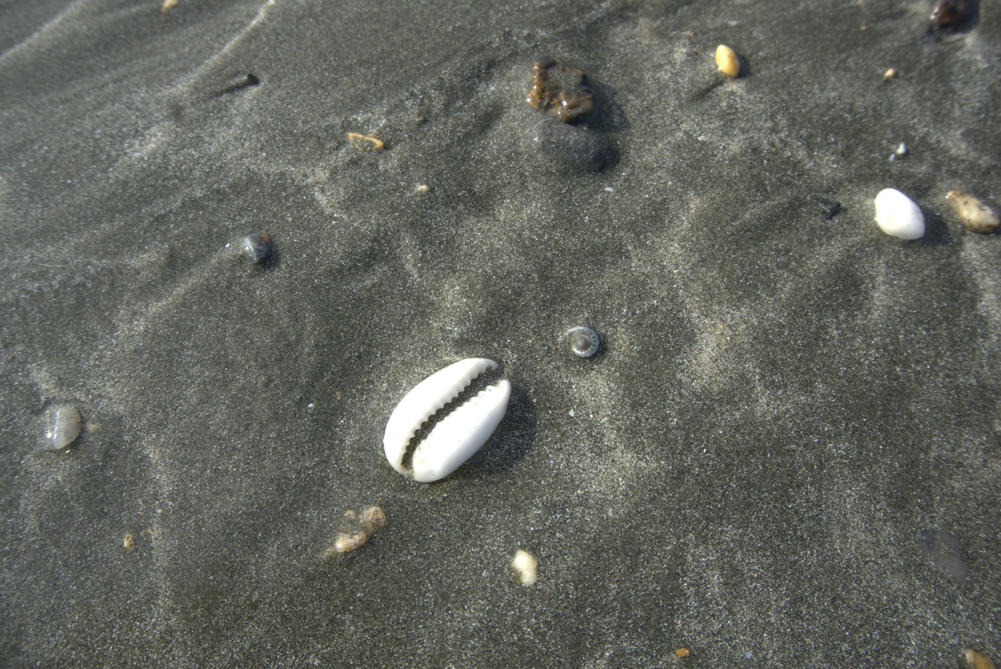 Desaru Beach and Tide Pool Walk - image 20