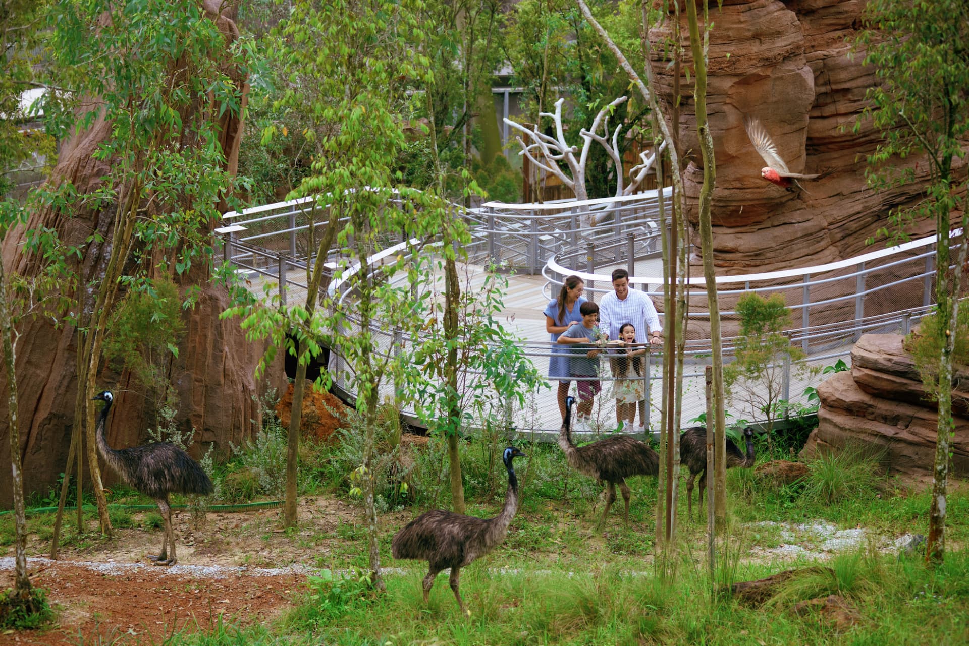 COMBO: River Wonders + Bird Paradise Ticket - imagen 20