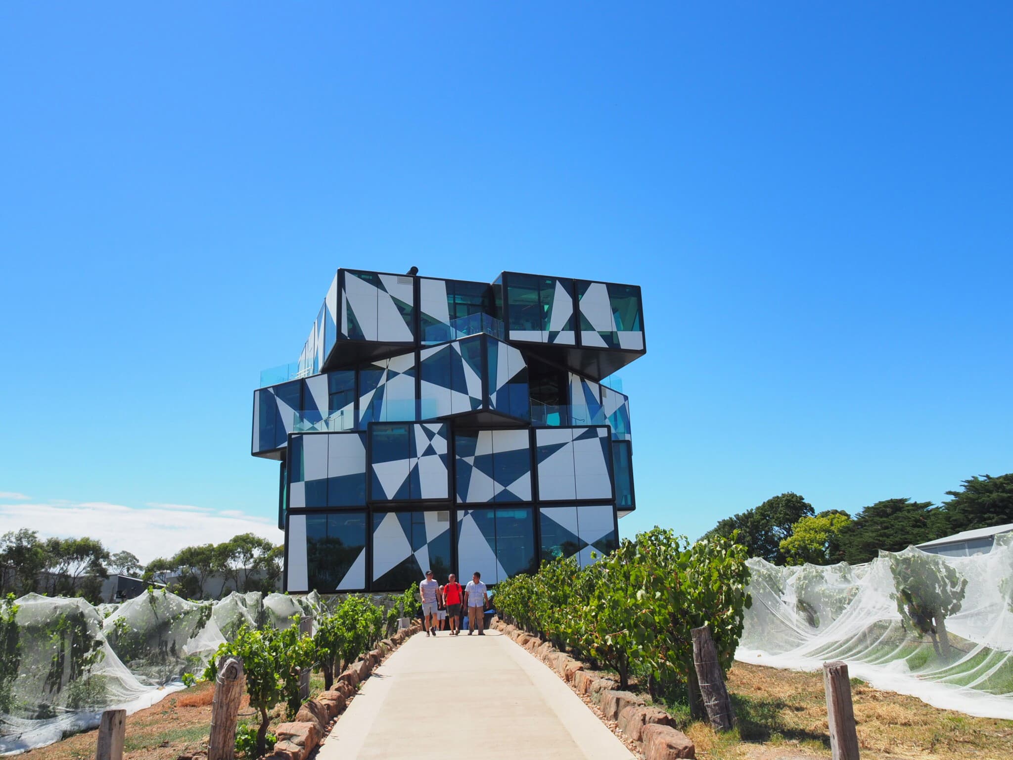 McLaren Vale and d’Arenberg Cube Wine Tasting Tour - image 2