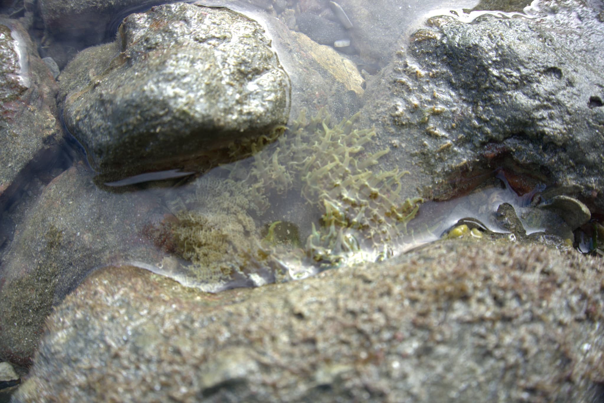 Desaru Beach and Tide Pool Walk - image 32