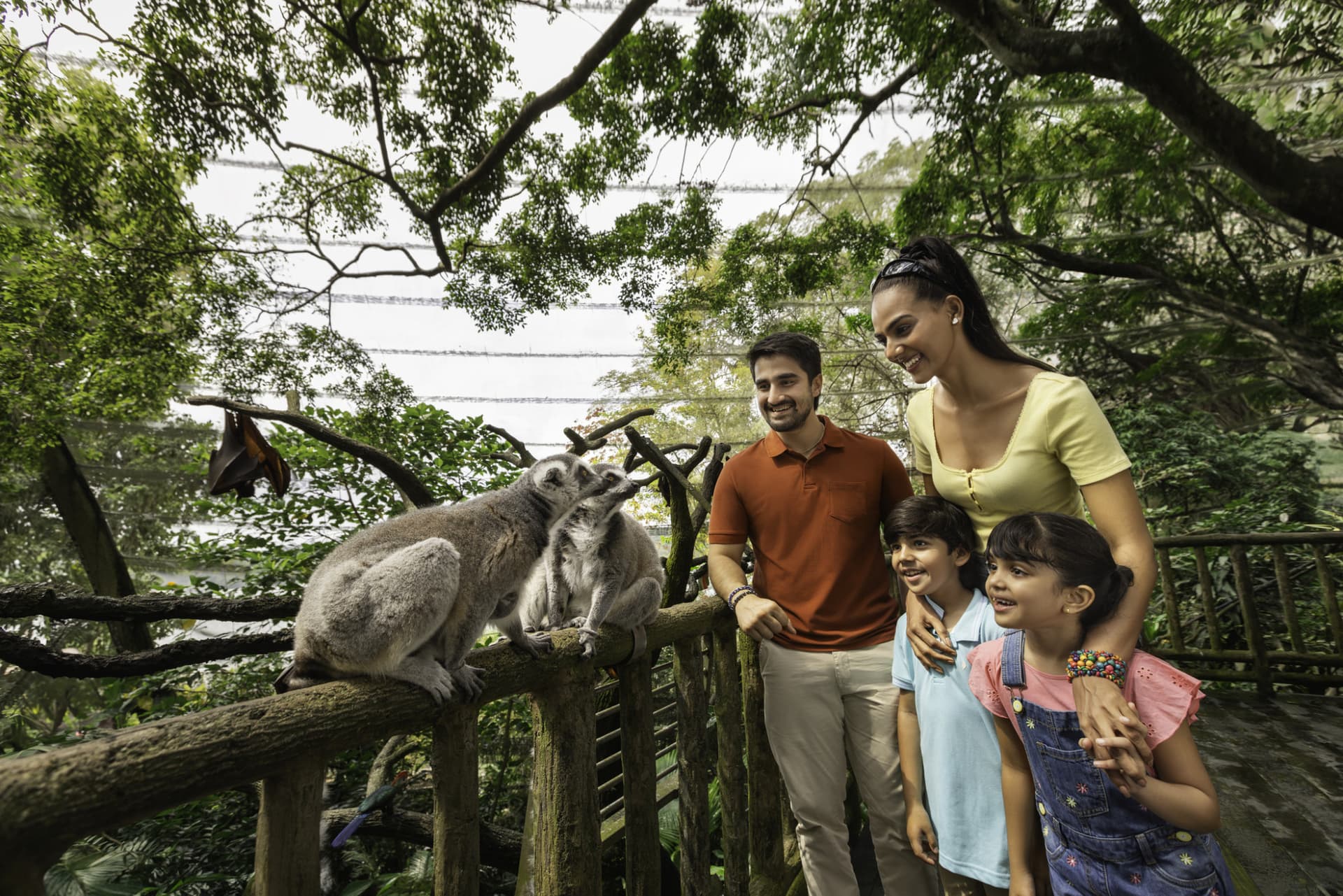 Singapore Zoo Ticket - image 9