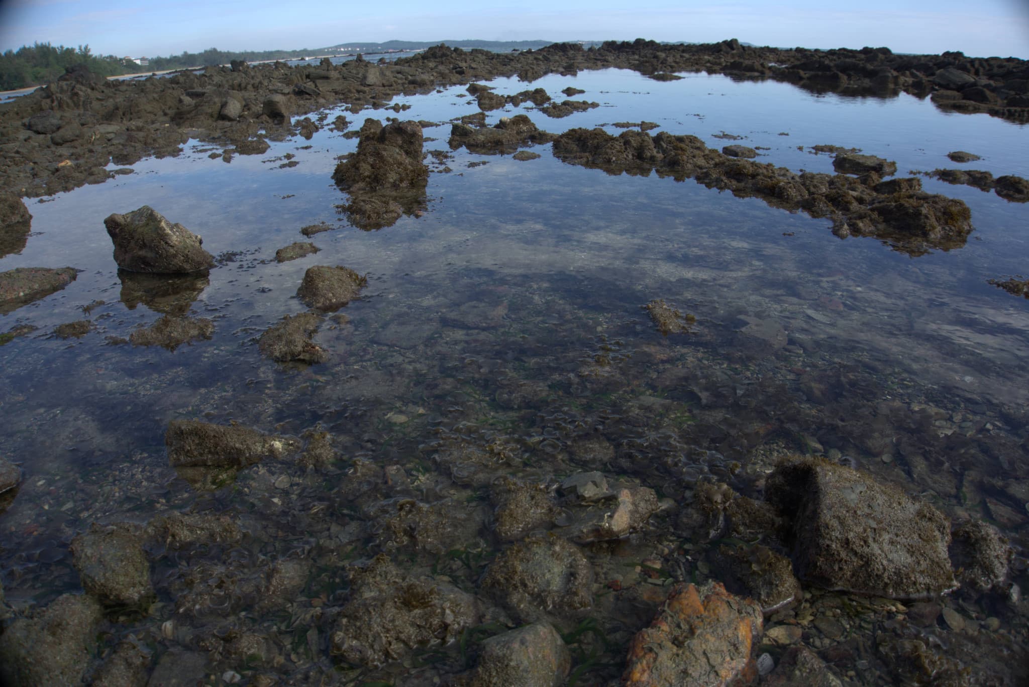 Desaru Beach and Tide Pool Walk - image 30