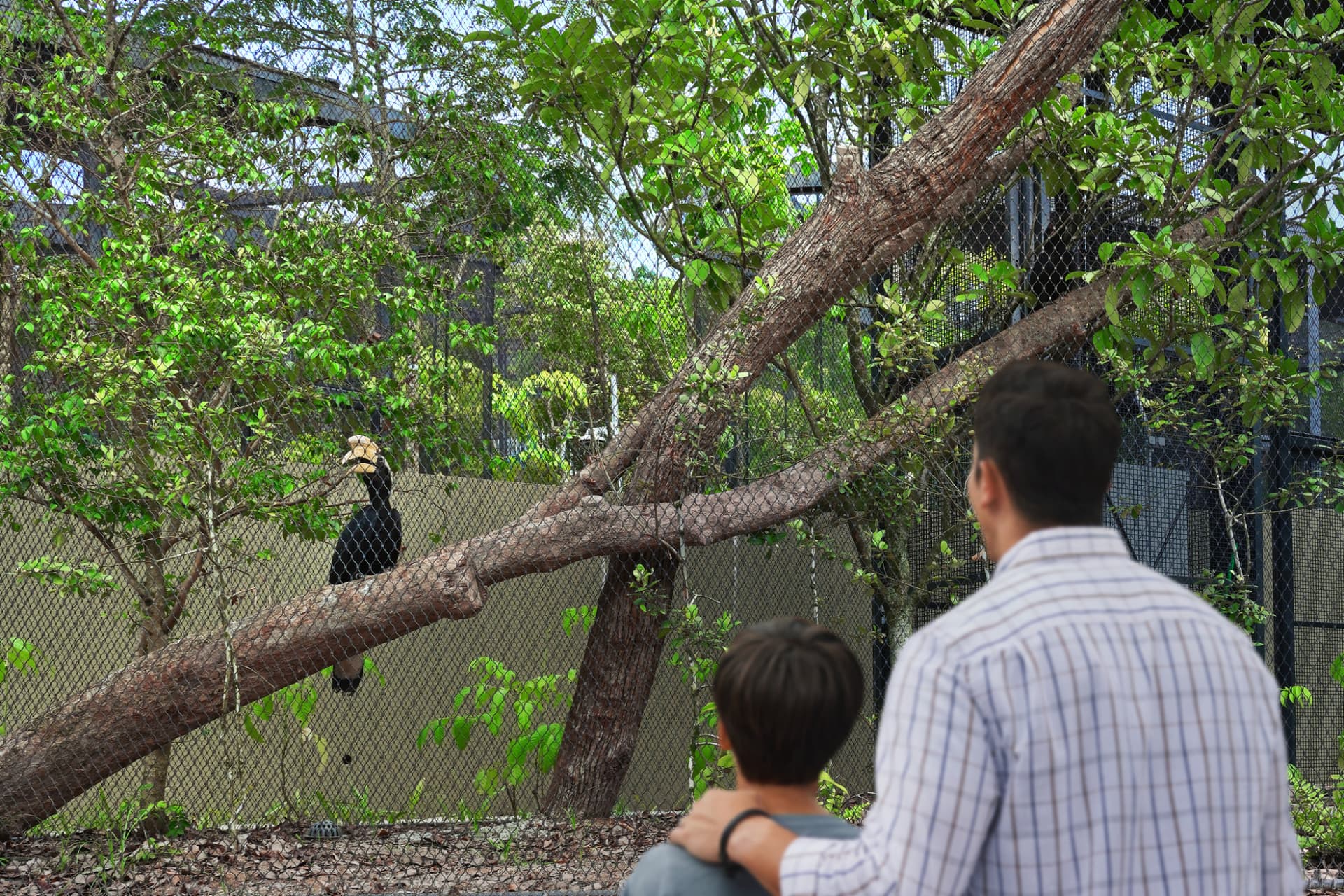 COMBO: River Wonders + Bird Paradise Ticket - imagen 22