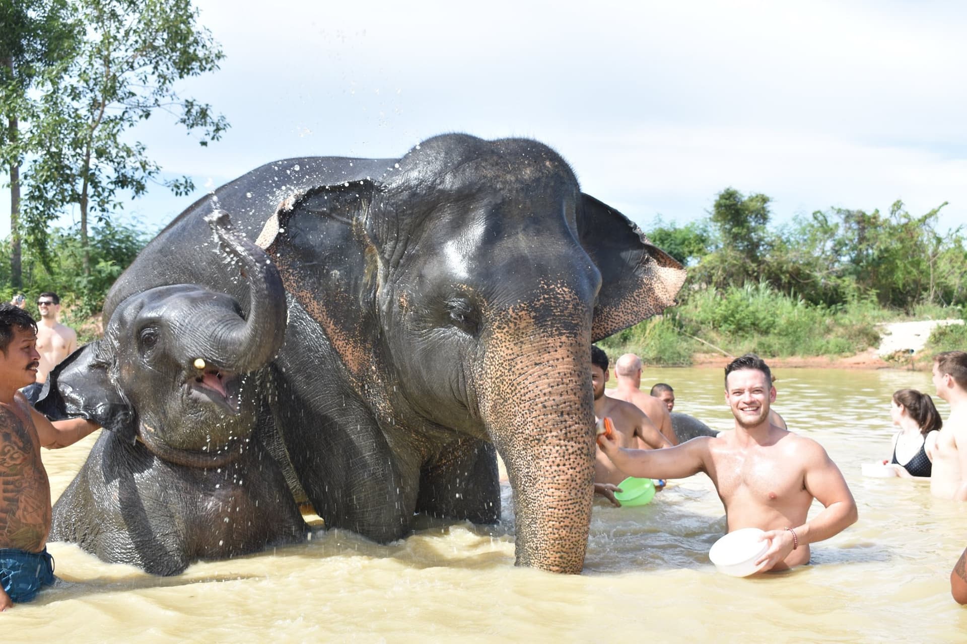 Elephant Jungle Sanctuary Pattaya - image 7