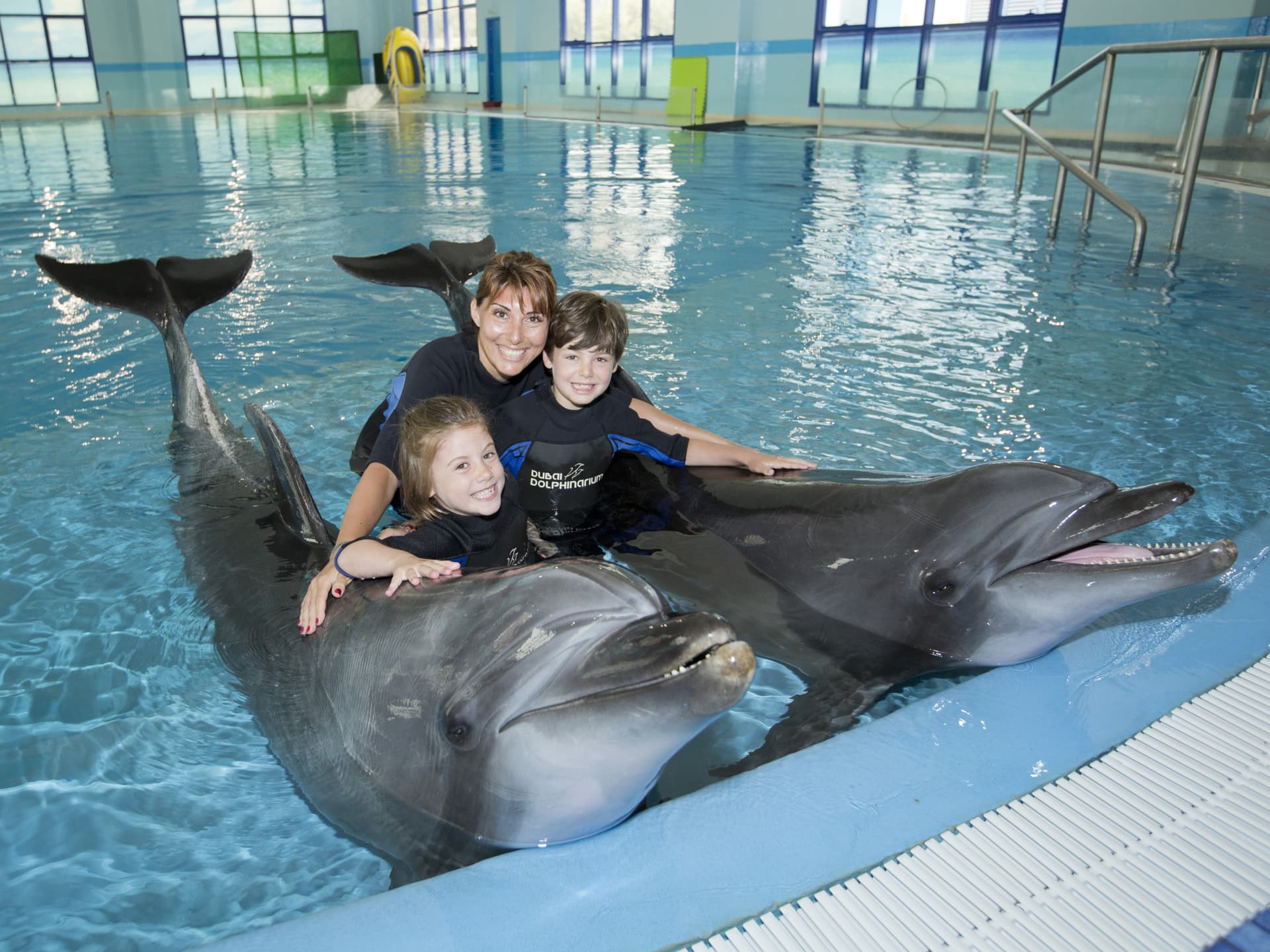Entrada para Dubai Dolphinarium - imagen 12
