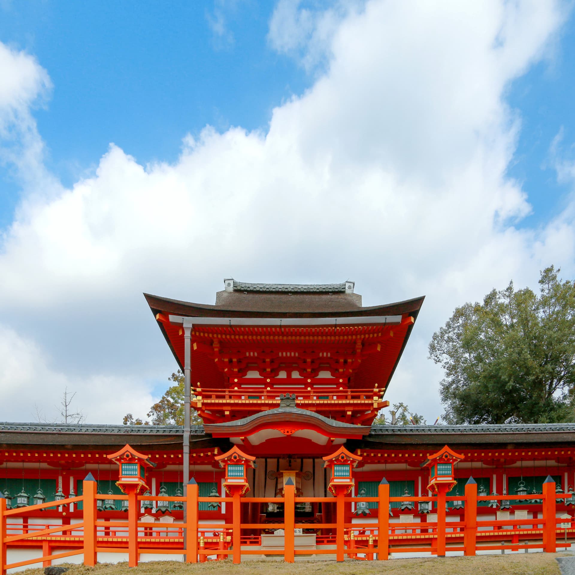 Kyoto and Nara Full-Day Tour from Osaka: Kiyomizudera Area, Fushimi Inari Taisha, Nara Park - image 7