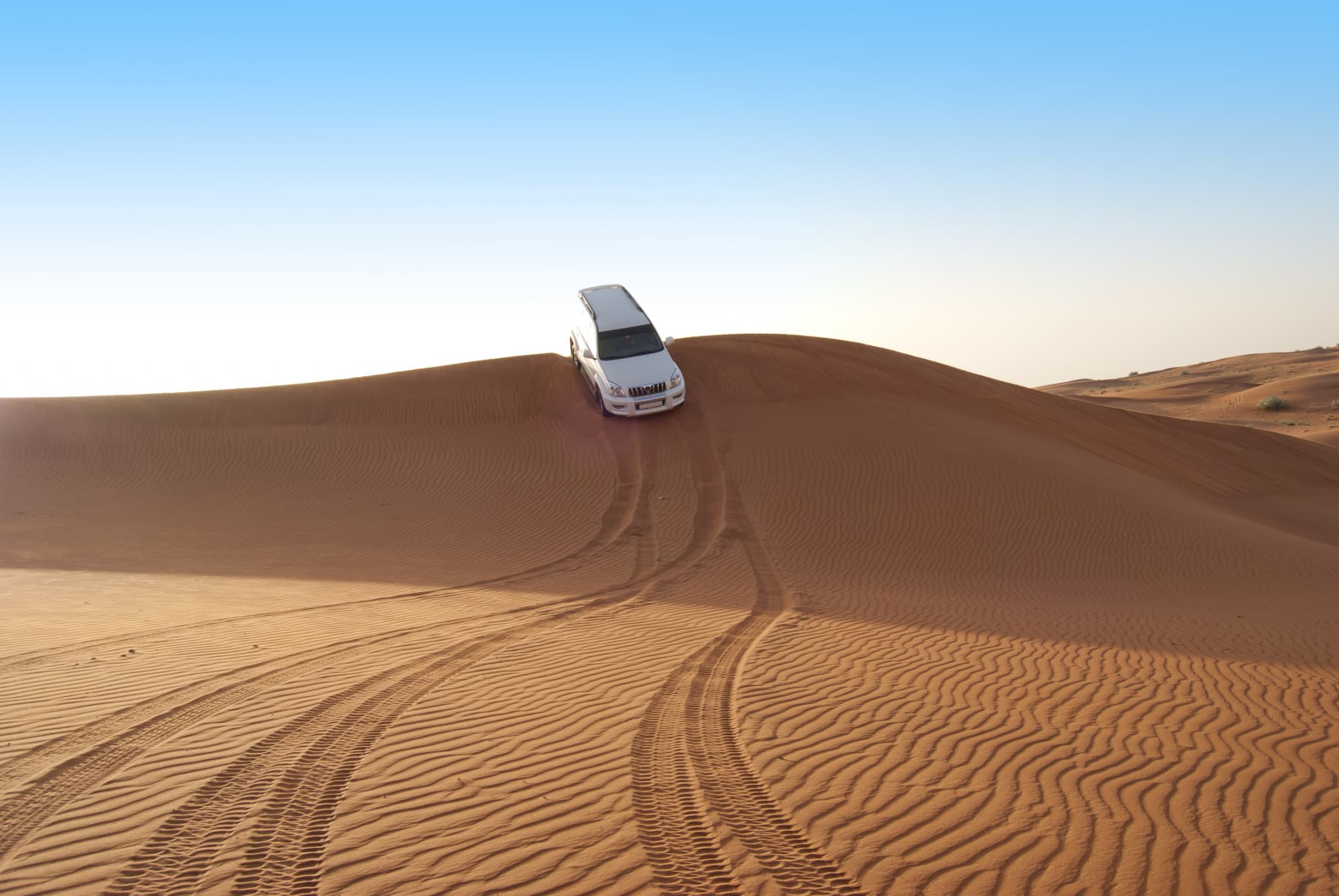 Liwa Desert Safari Tour - image 7