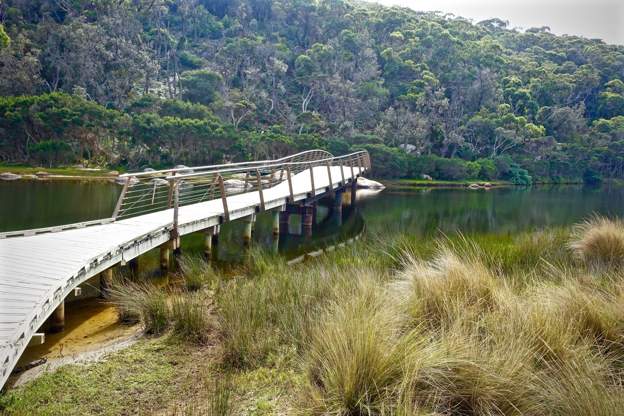 Wilsons Promontory National Park Tour from Melbourne - image 8