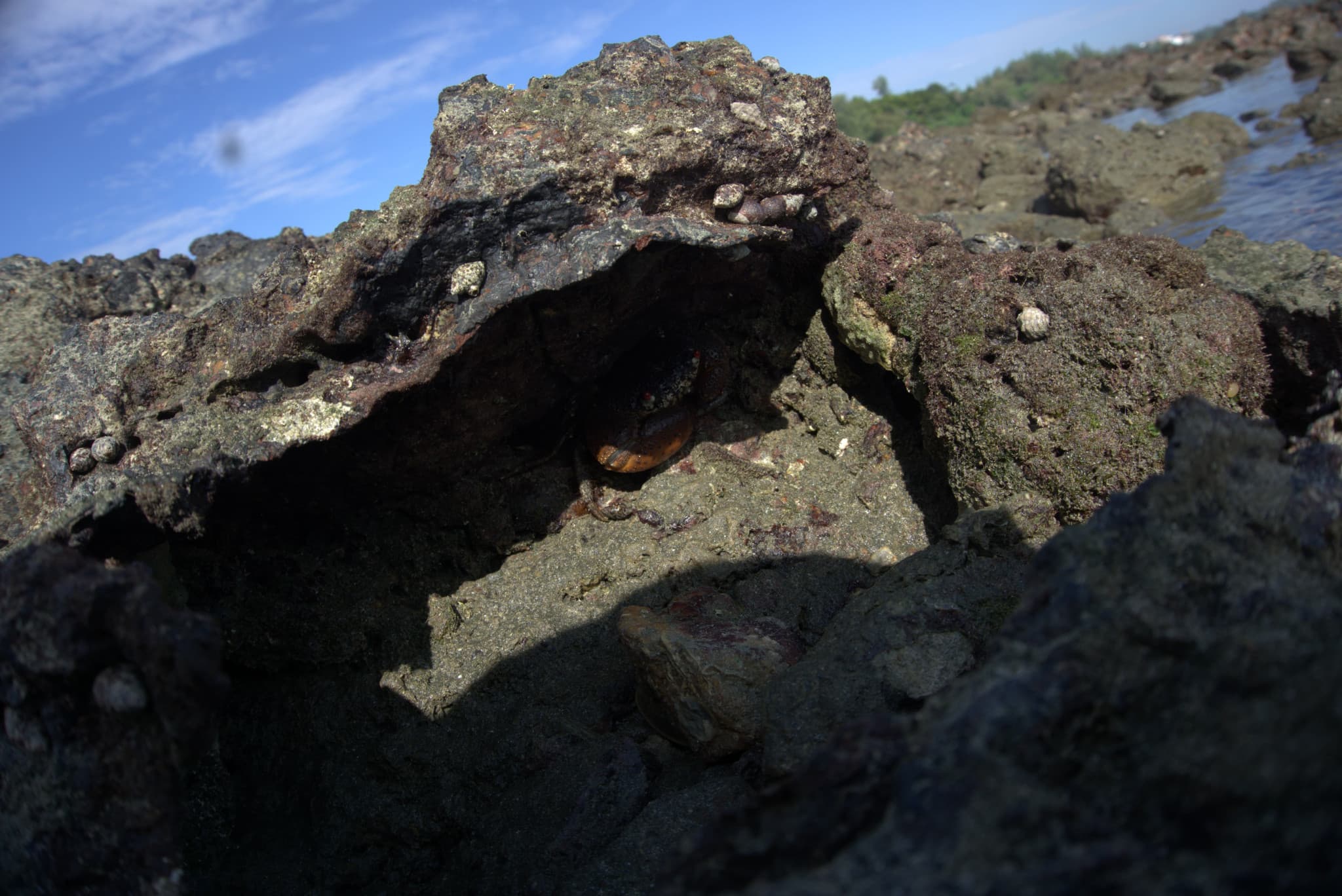 Desaru Beach and Tide Pool Walk - image 38