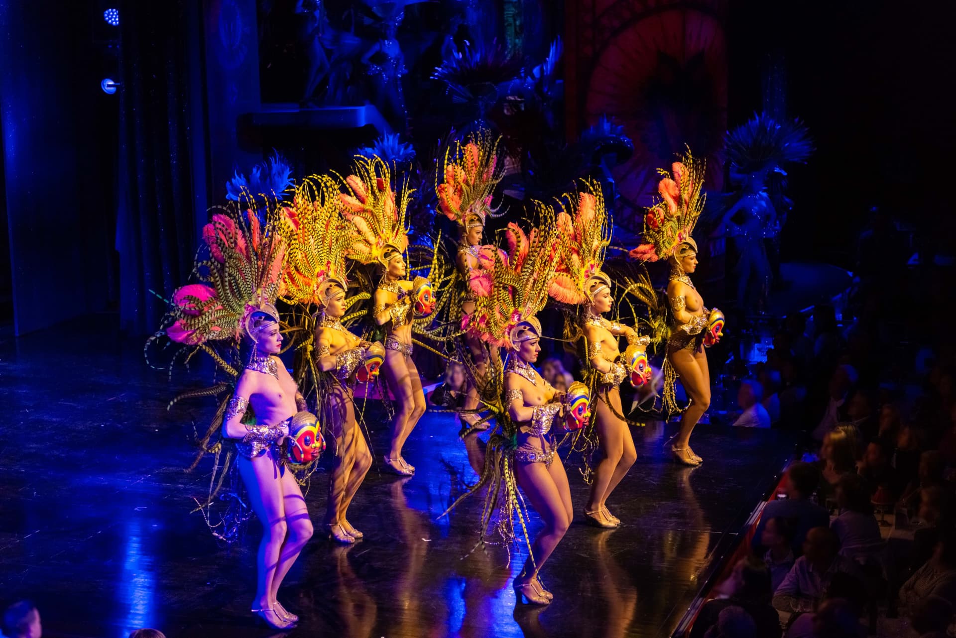 Espectáculo de cabaret en Moulin Rouge y tour en autobús por París - imagen principal