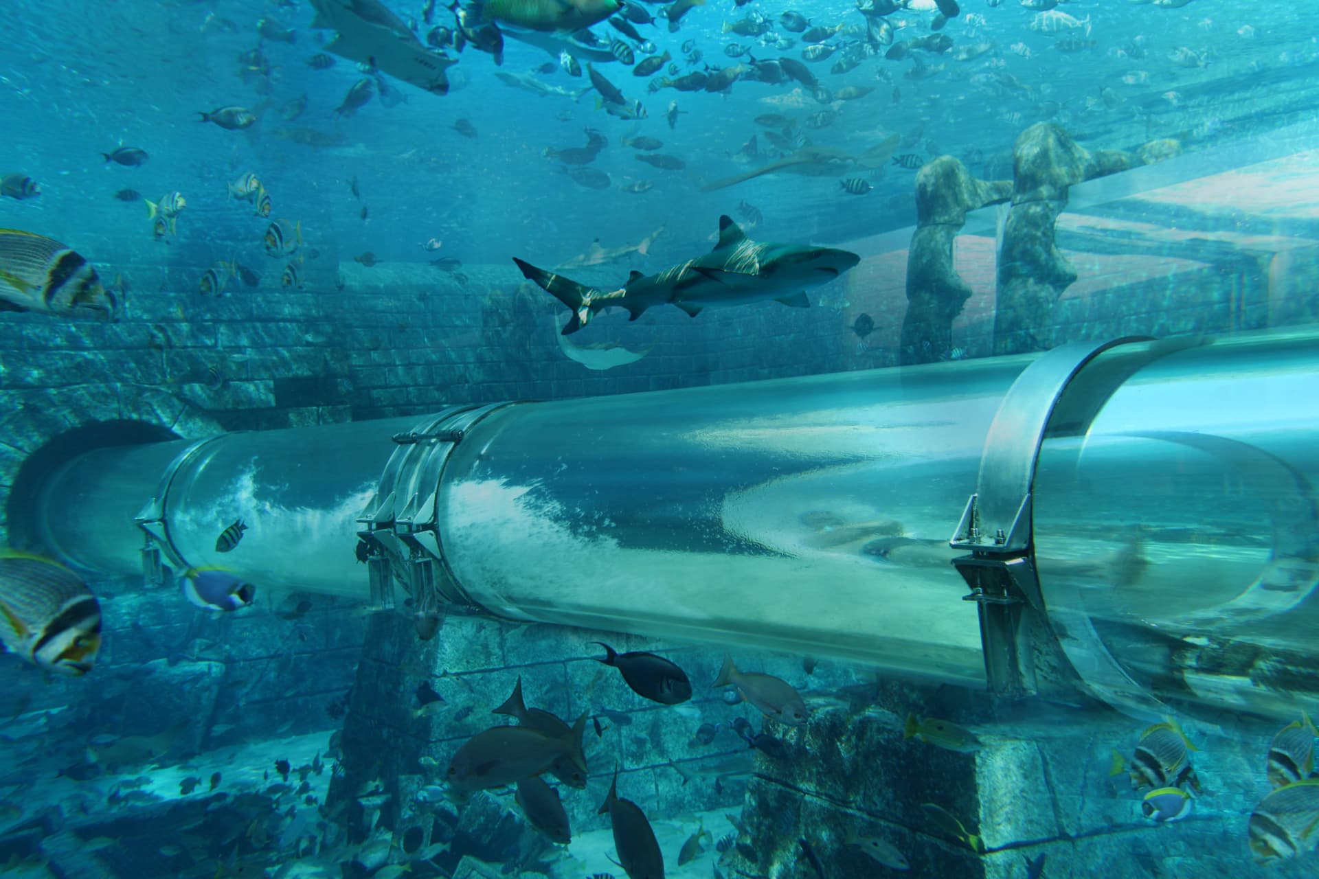 Atlantis Aquaventure World Dubai - The Lost World Aquarium Ticket - image 12