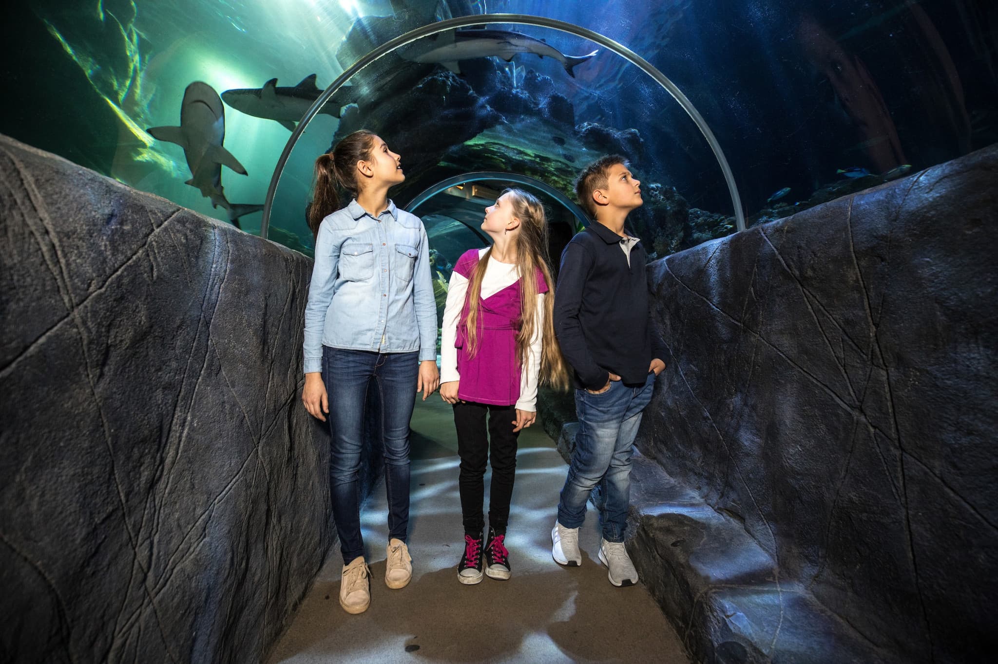 SEA LIFE Munich Aquarium Ticket - image 2