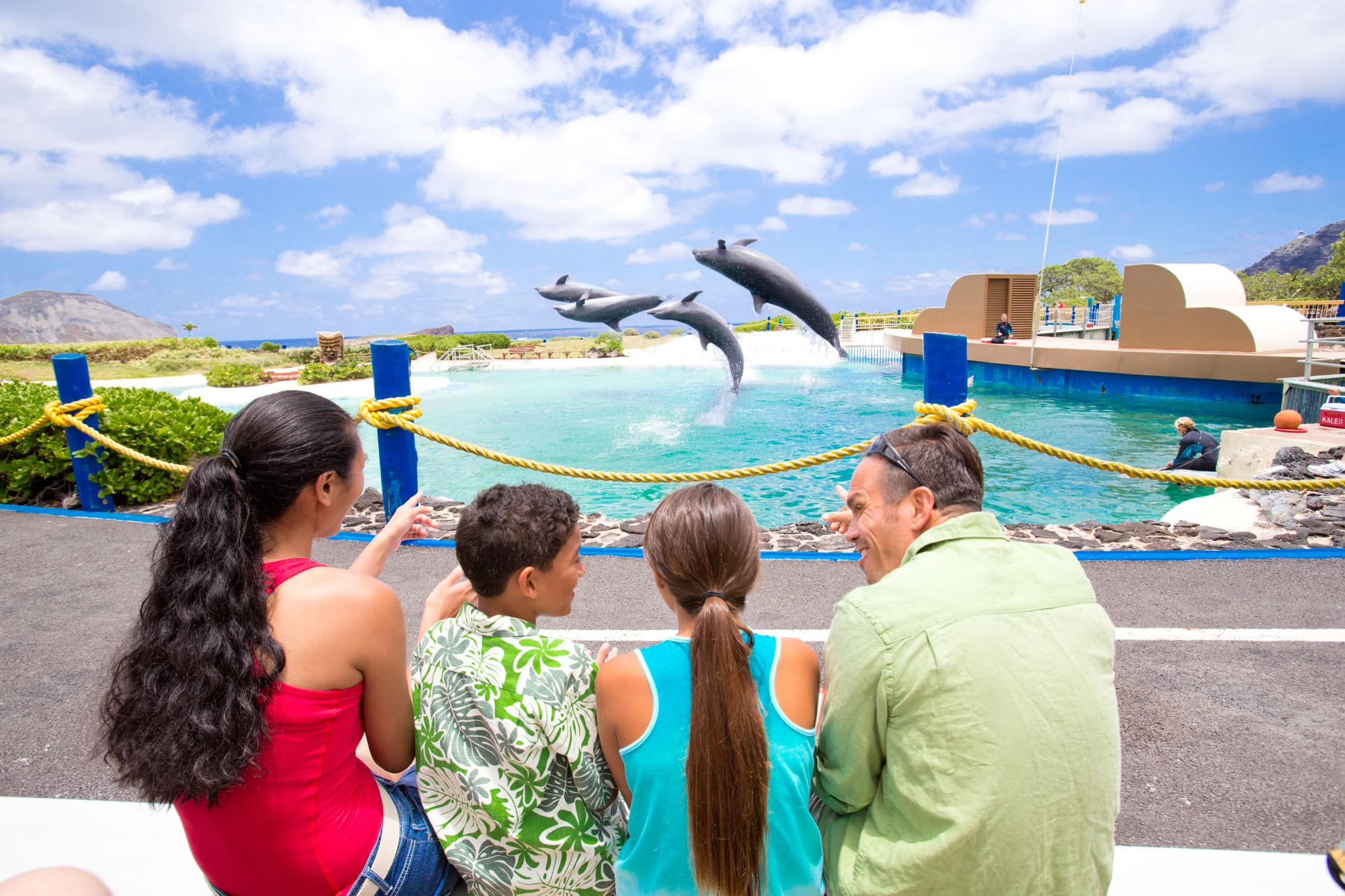 Go City Oahu Essentials Pass: 3 Attractions - image 8