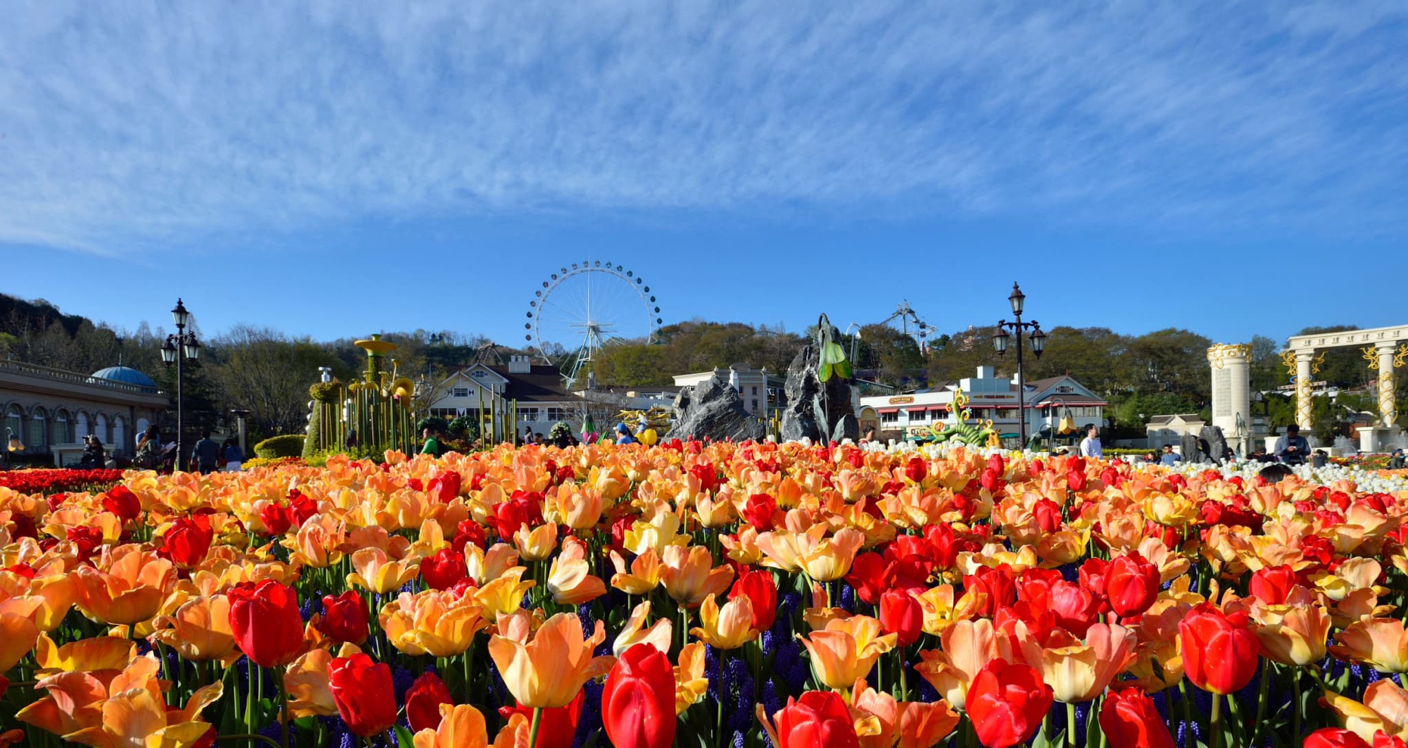 Everland Theme Park Ticket - image 16