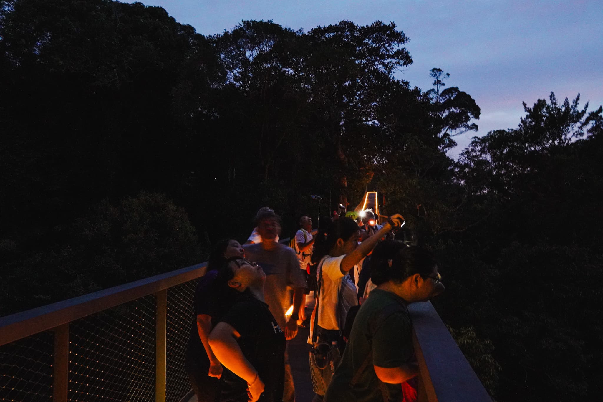 The Habitat Penang Hill Ticket - image 30