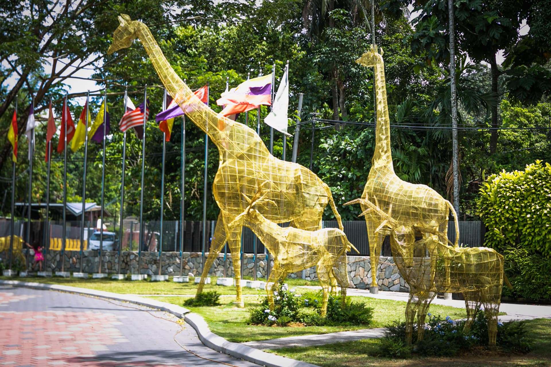 Entrada para Zoo Negara Malaysia y el Centro de Conservación del Panda - imagen 24