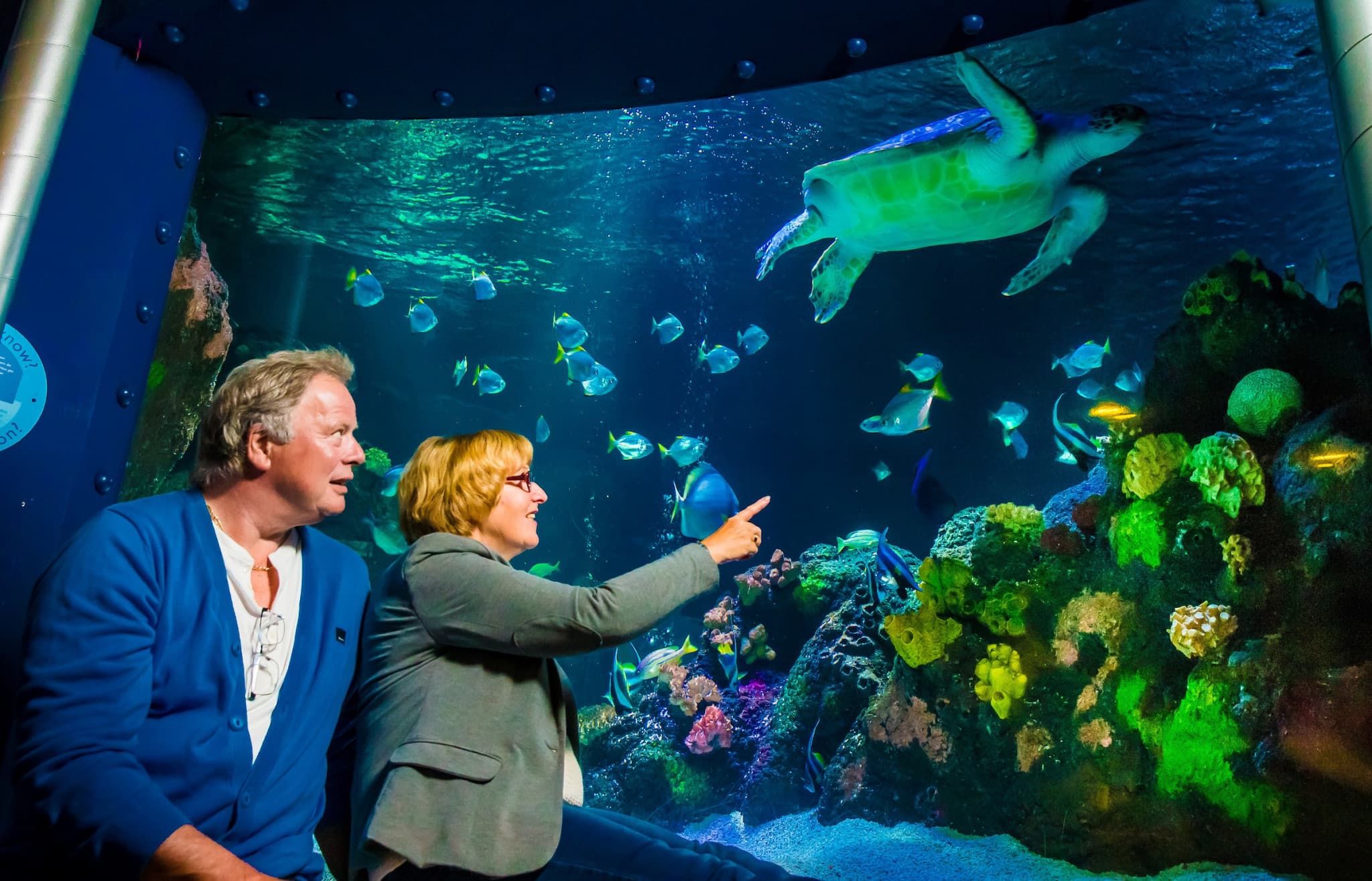 SEA LIFE Timmendorfer Strand Aquarium Ticket - image 6