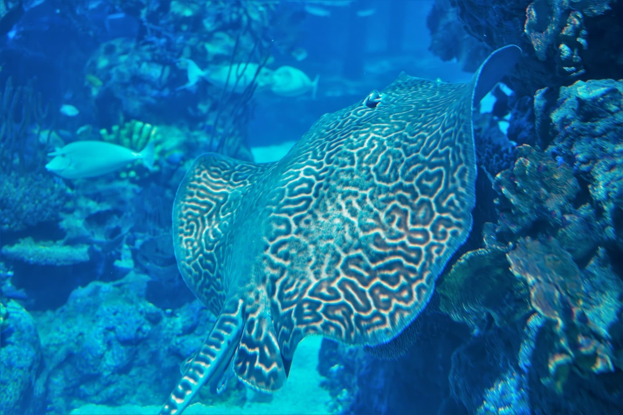 Aquaria Phuket - image 20