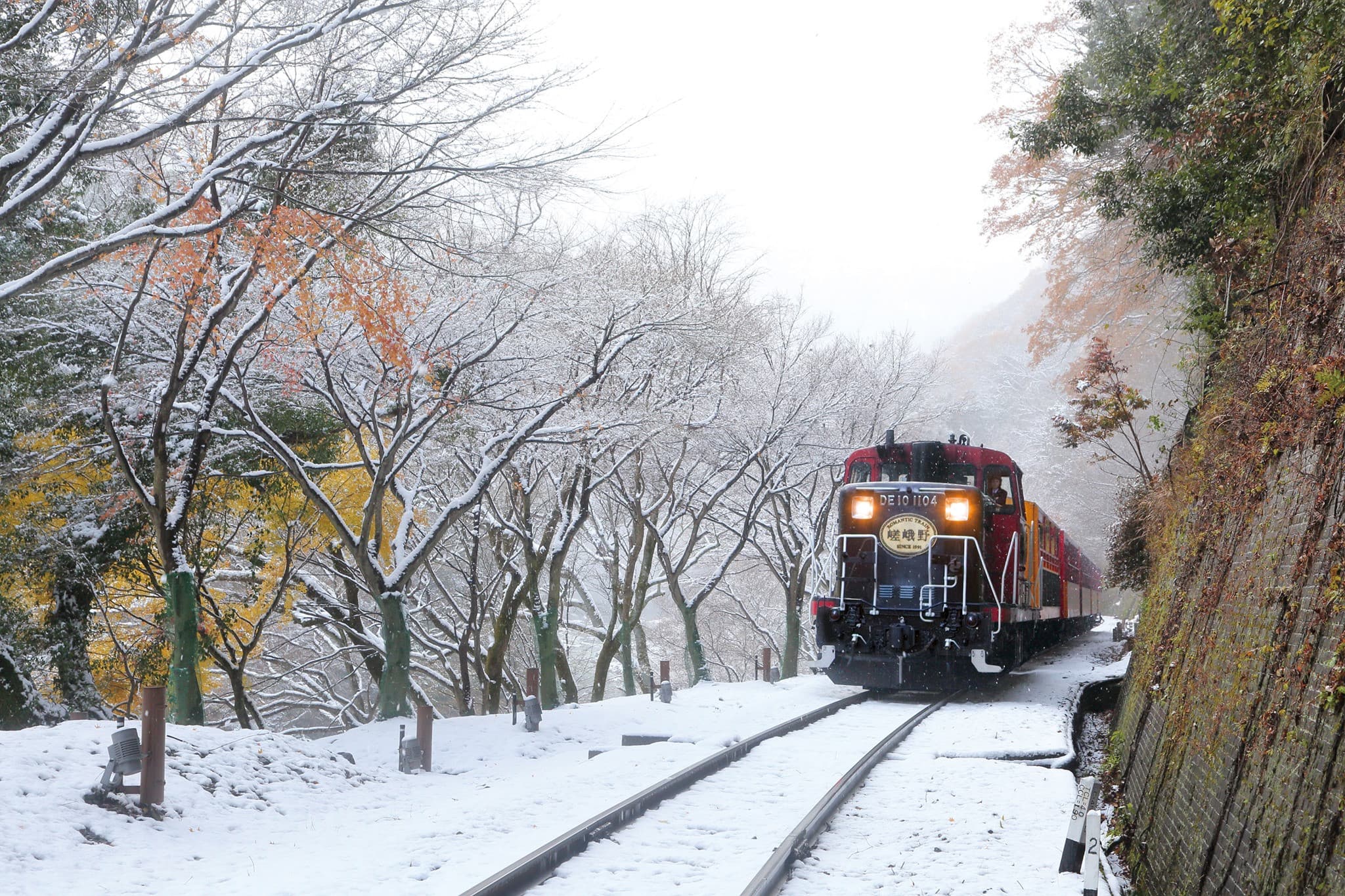 Sagano Romantic Train - image 22