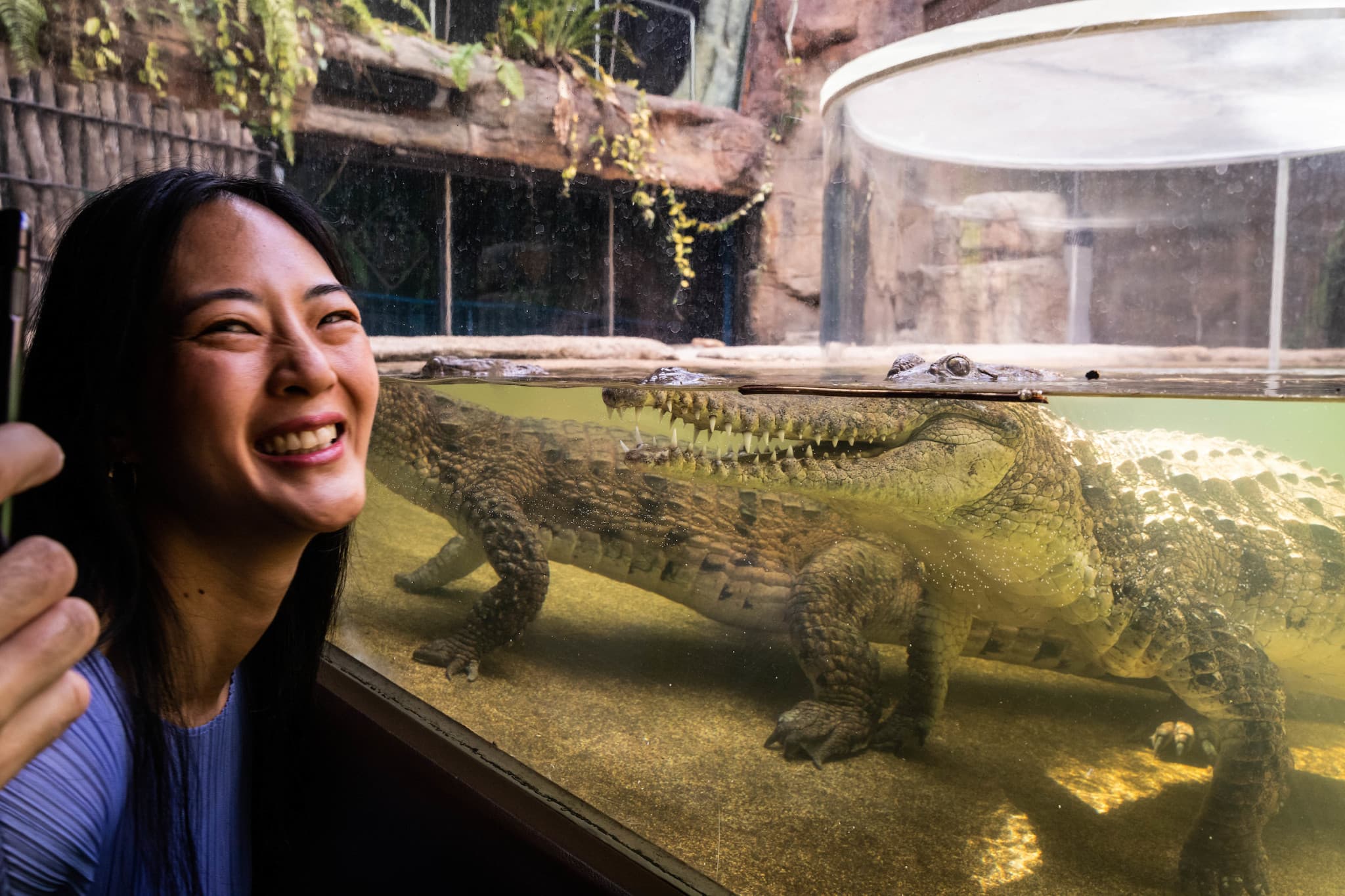COMBO: WILD LIFE Sydney Zoo Ticket + Captain Cook Hop-on Hop-off Cruise - image 5