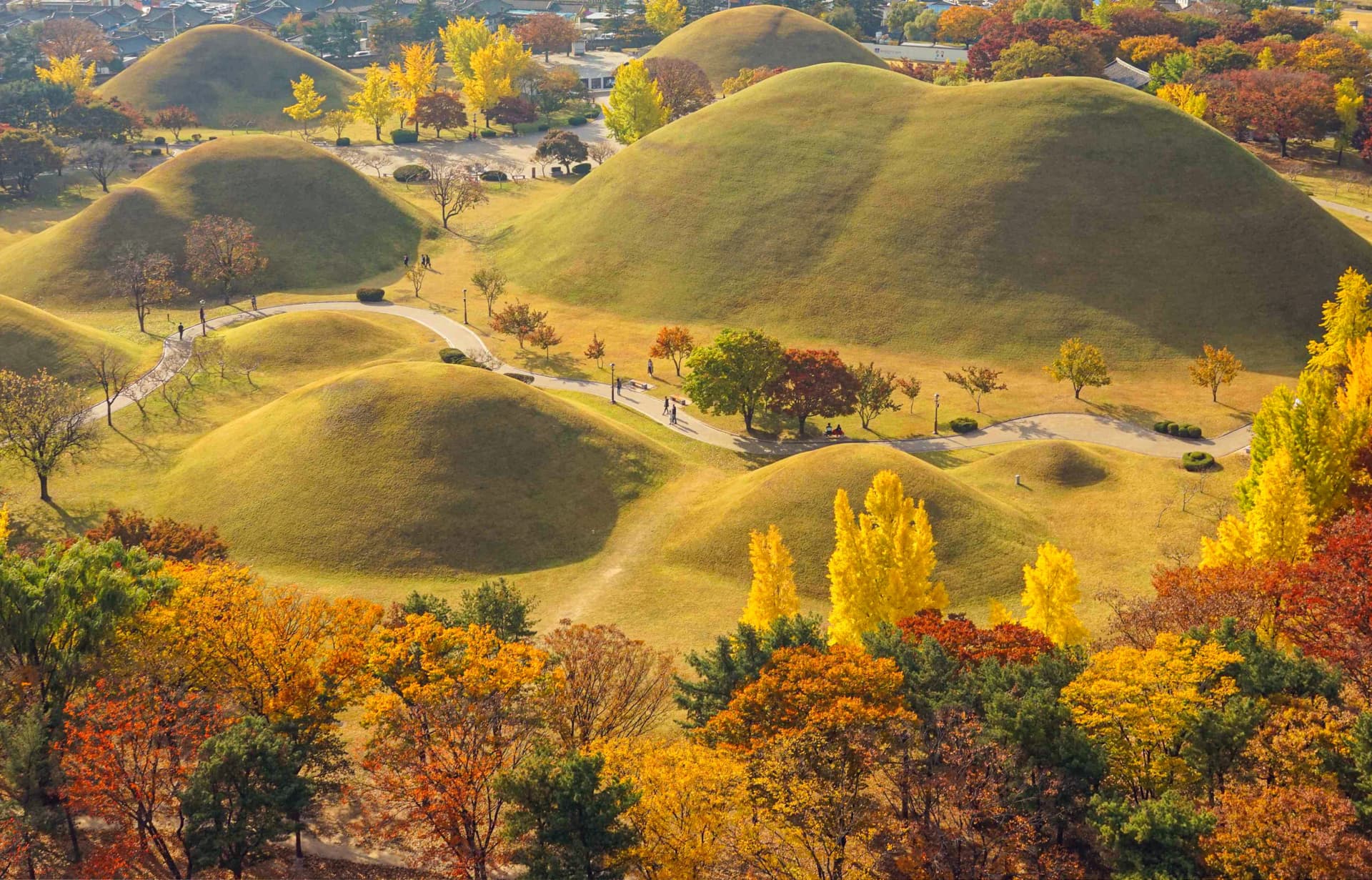 Gyeongju Autumn Foliage One Day Tour from Busan - 이미지 2
