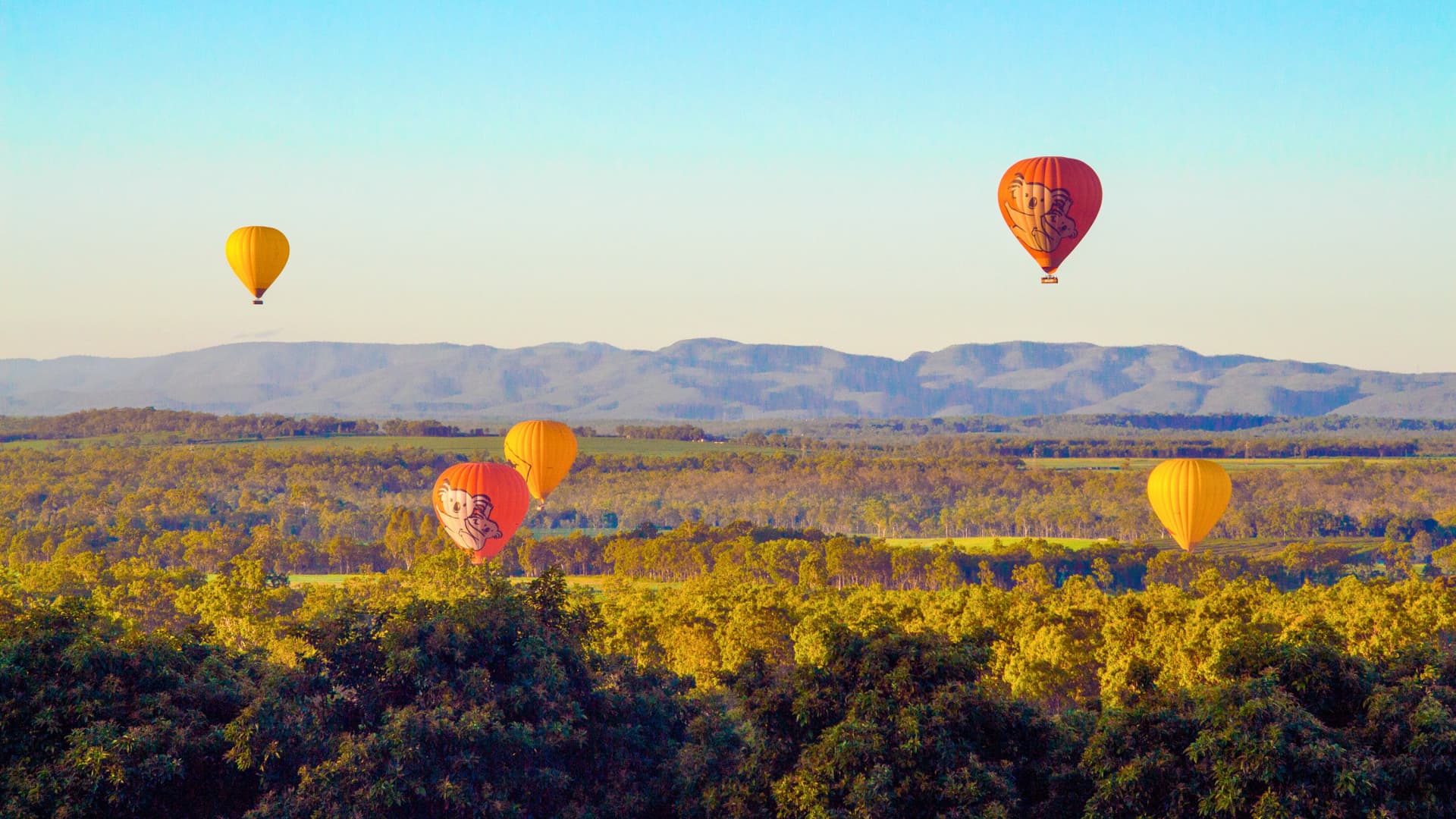 Cairns Hot Air Balloon Flight with Sparkling Wine and Optional Round Trip Transfer - image 5