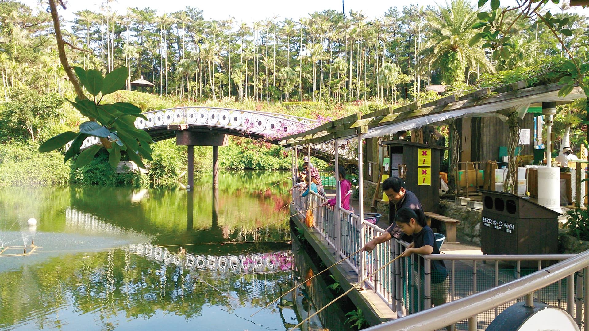 Okinawa Southeast Botanical Gardens - image 23