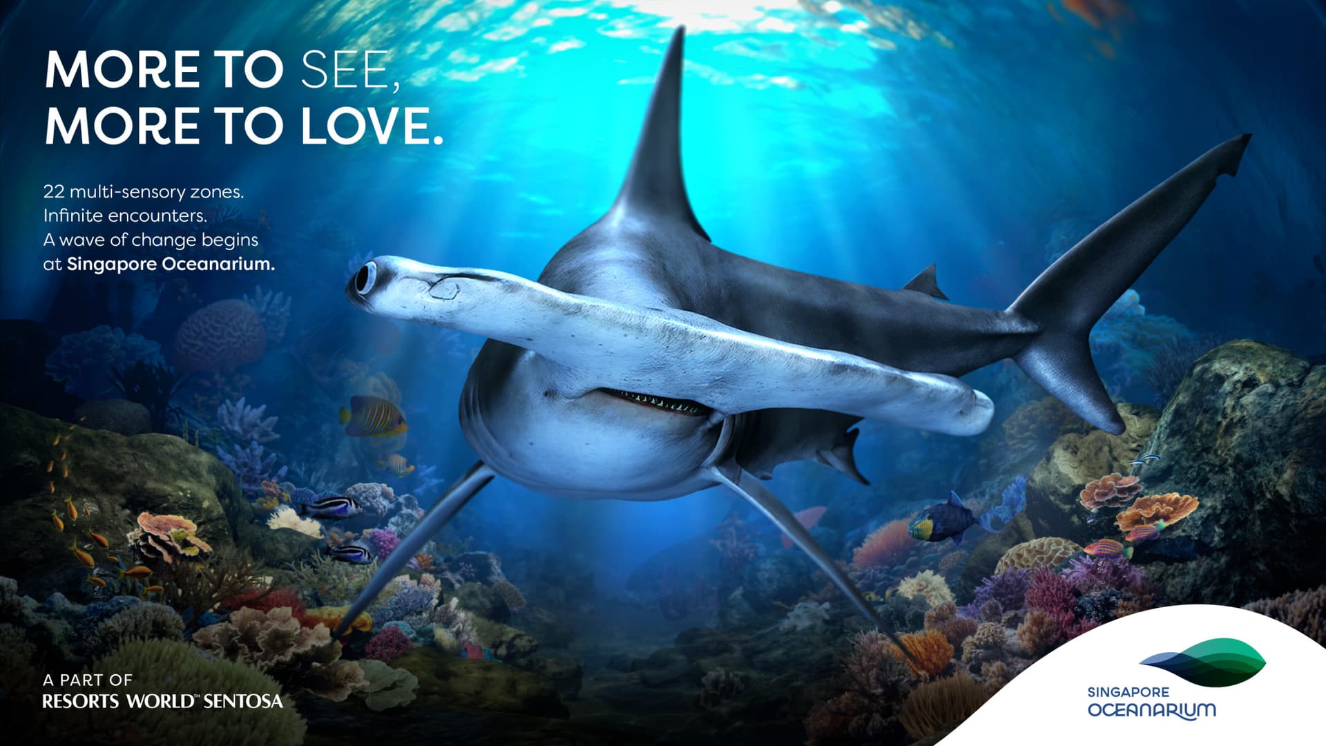 COMBO: Entradas para Universal Studios Singapore + Singapore Oceanarium + Adventure Cove Waterpark - imagen 7