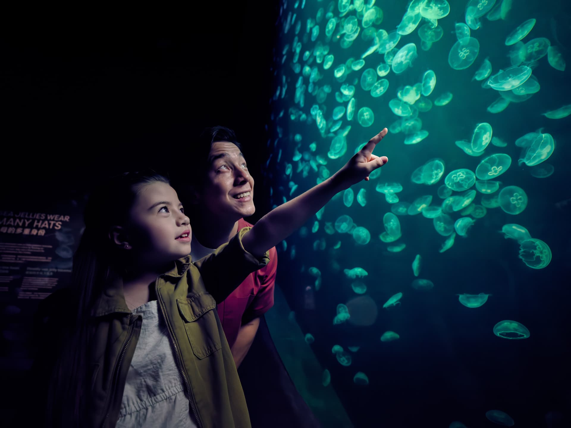 Singapore Oceanarium Ticket - image 13