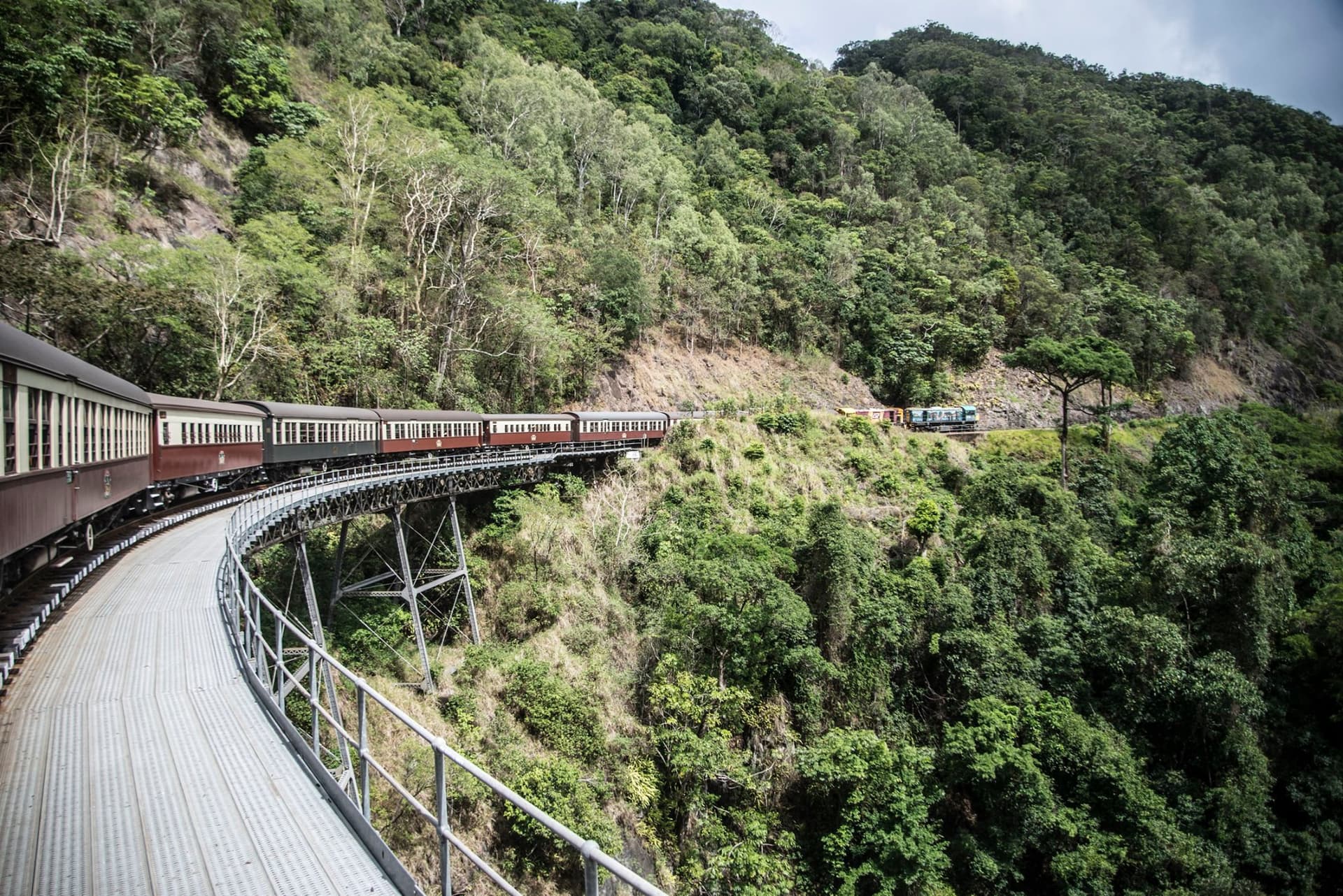 Tour de día completo al Rainforestation Nature Park de Kuranda desde Cairns con el tren panorámico Kuranda Scenic Railway - imagen 3